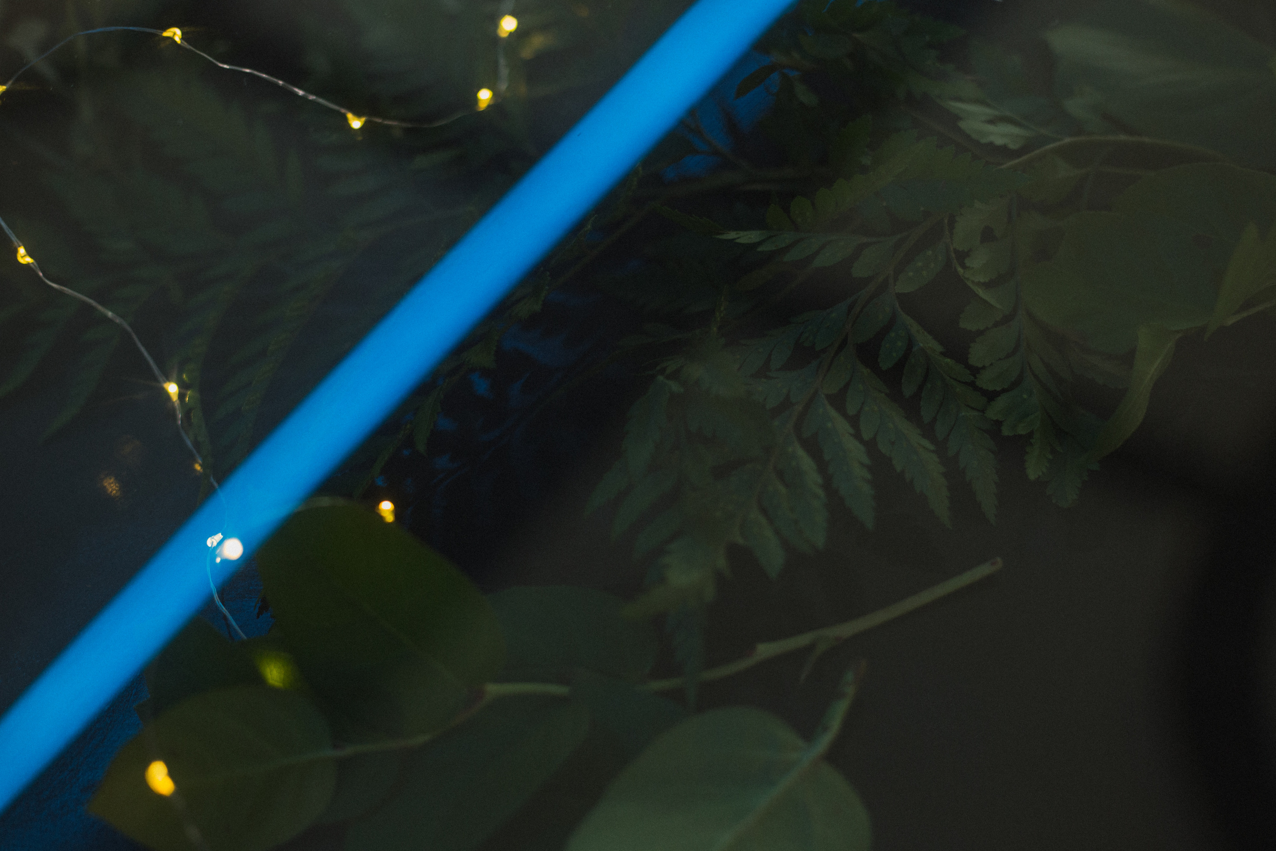 Декор свадьбы. Виктория Еремина — фотограф и видеограф в Москве