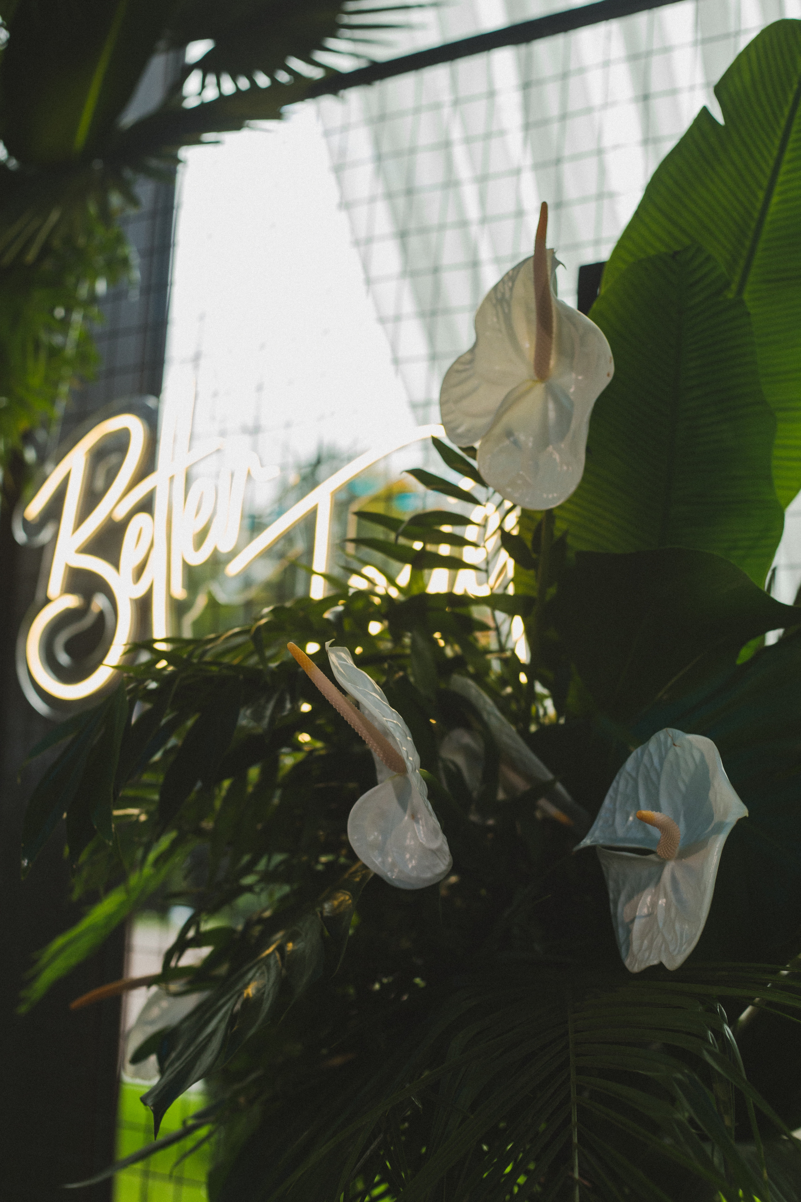 Декор свадьбы. Виктория Еремина — фотограф и видеограф в Москве