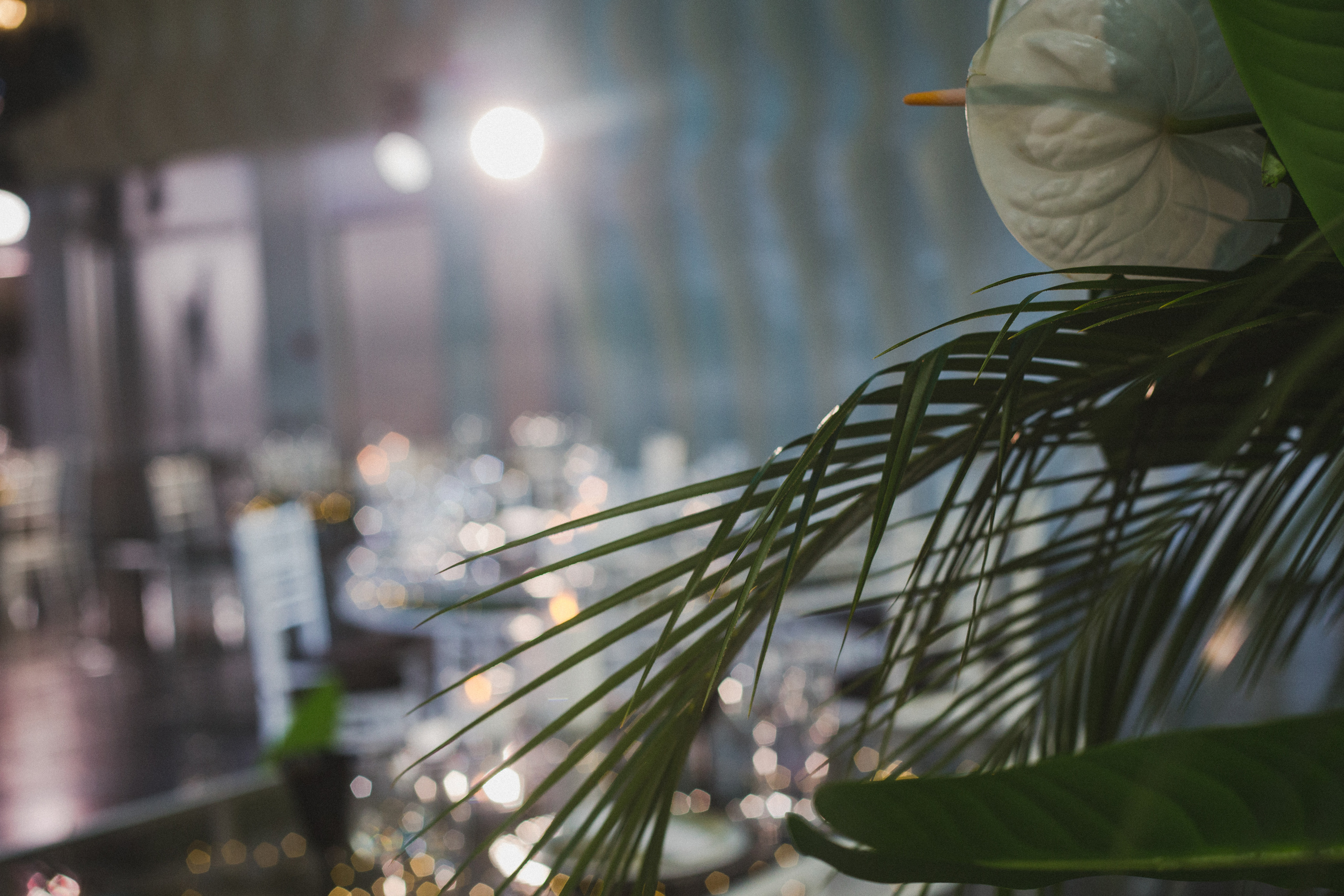 Декор свадьбы. Виктория Еремина — фотограф и видеограф в Москве