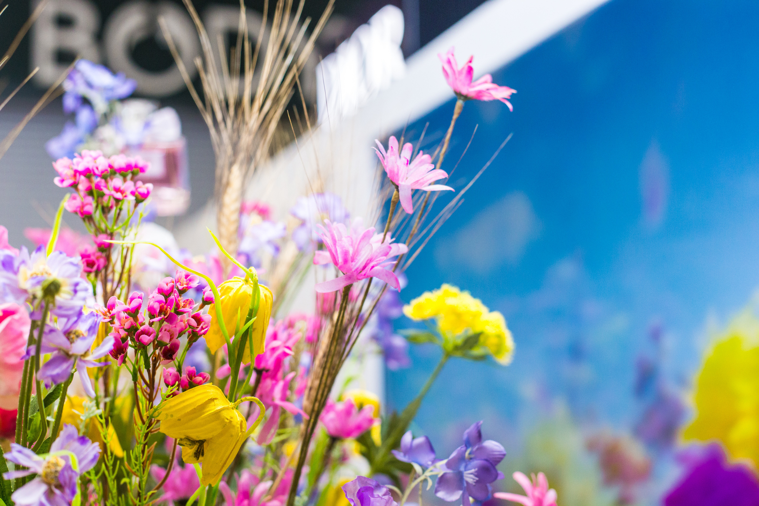 Dior. Виктория Еремина — фотограф и видеограф в Москве