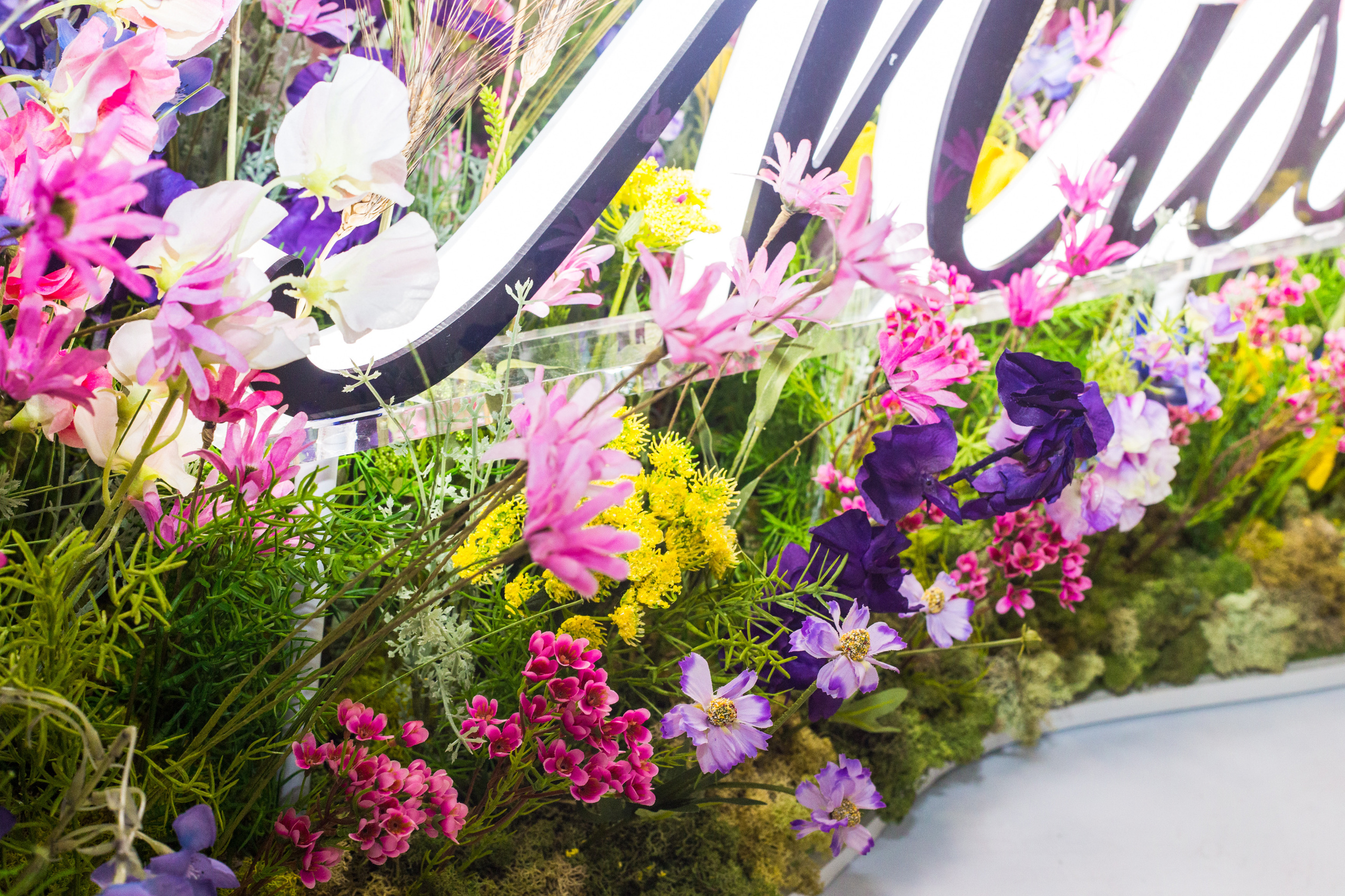 Dior. Виктория Еремина — фотограф и видеограф в Москве