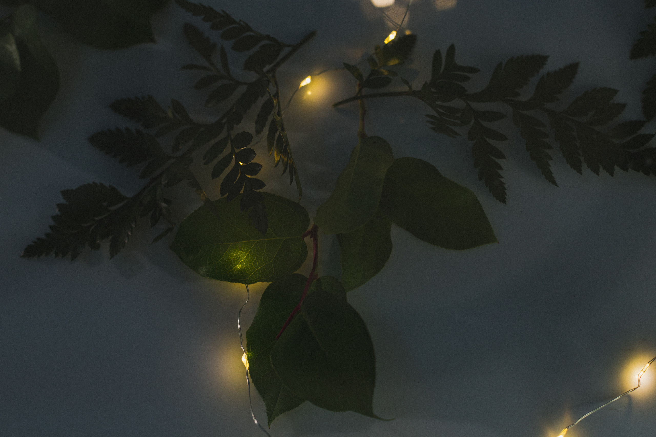 Декор свадьбы. Виктория Еремина — фотограф и видеограф в Москве