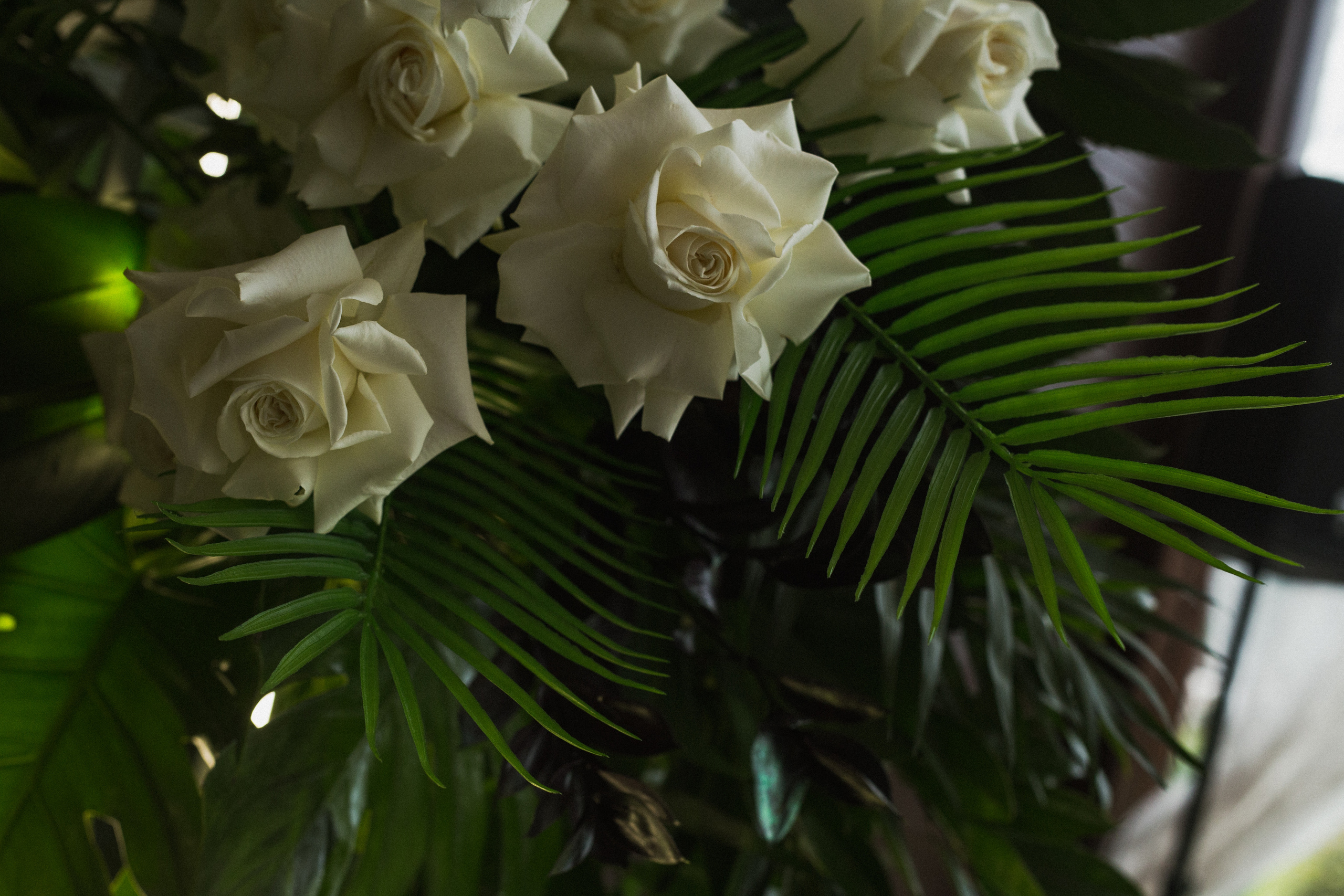 Декор свадьбы. Виктория Еремина — фотограф и видеограф в Москве