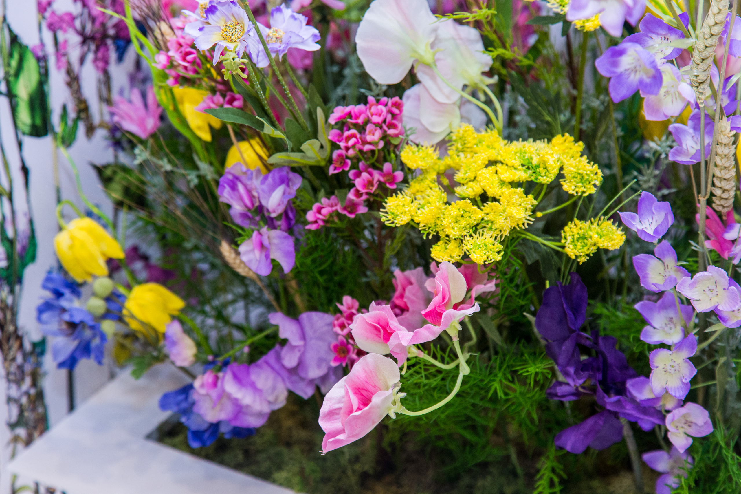 Dior. Виктория Еремина — фотограф и видеограф в Москве