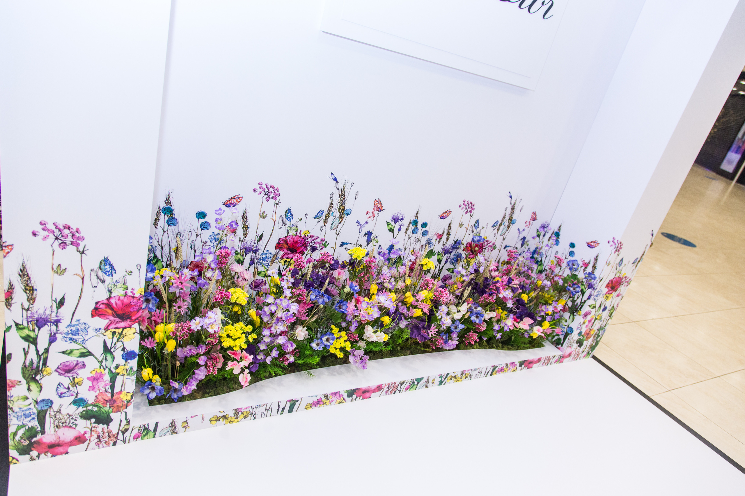 Dior. Виктория Еремина — фотограф и видеограф в Москве