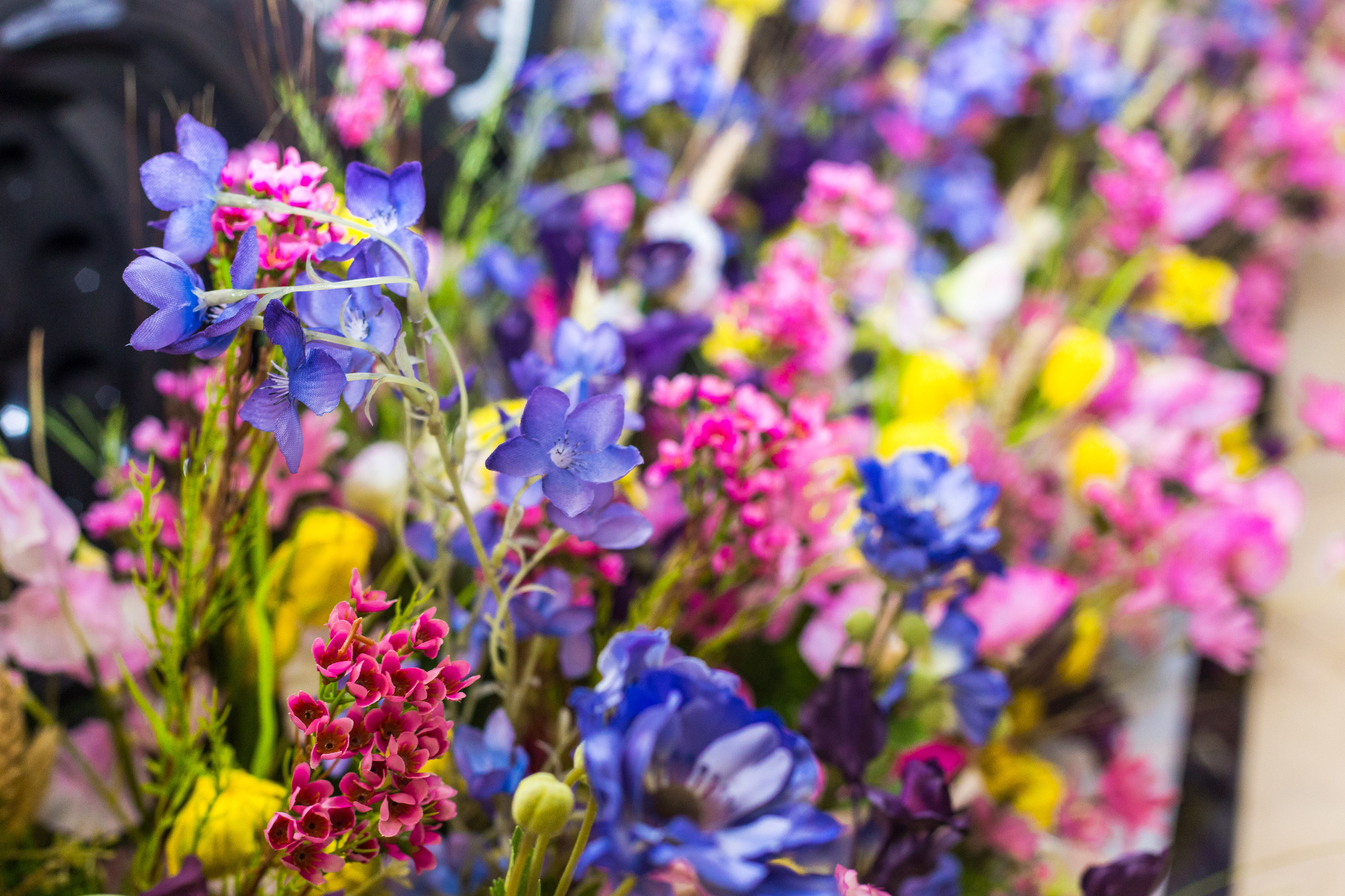 Dior. Виктория Еремина — фотограф и видеограф в Москве