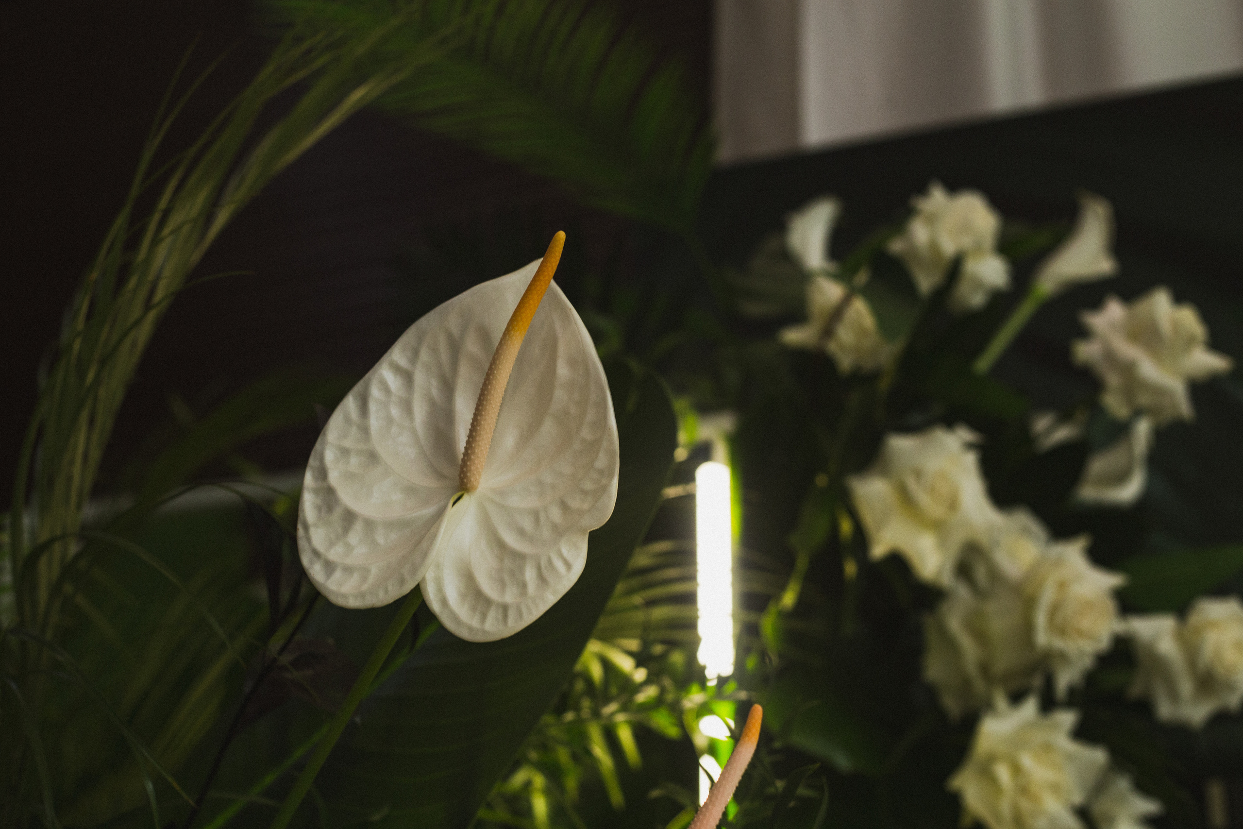 Декор свадьбы. Виктория Еремина — фотограф и видеограф в Москве