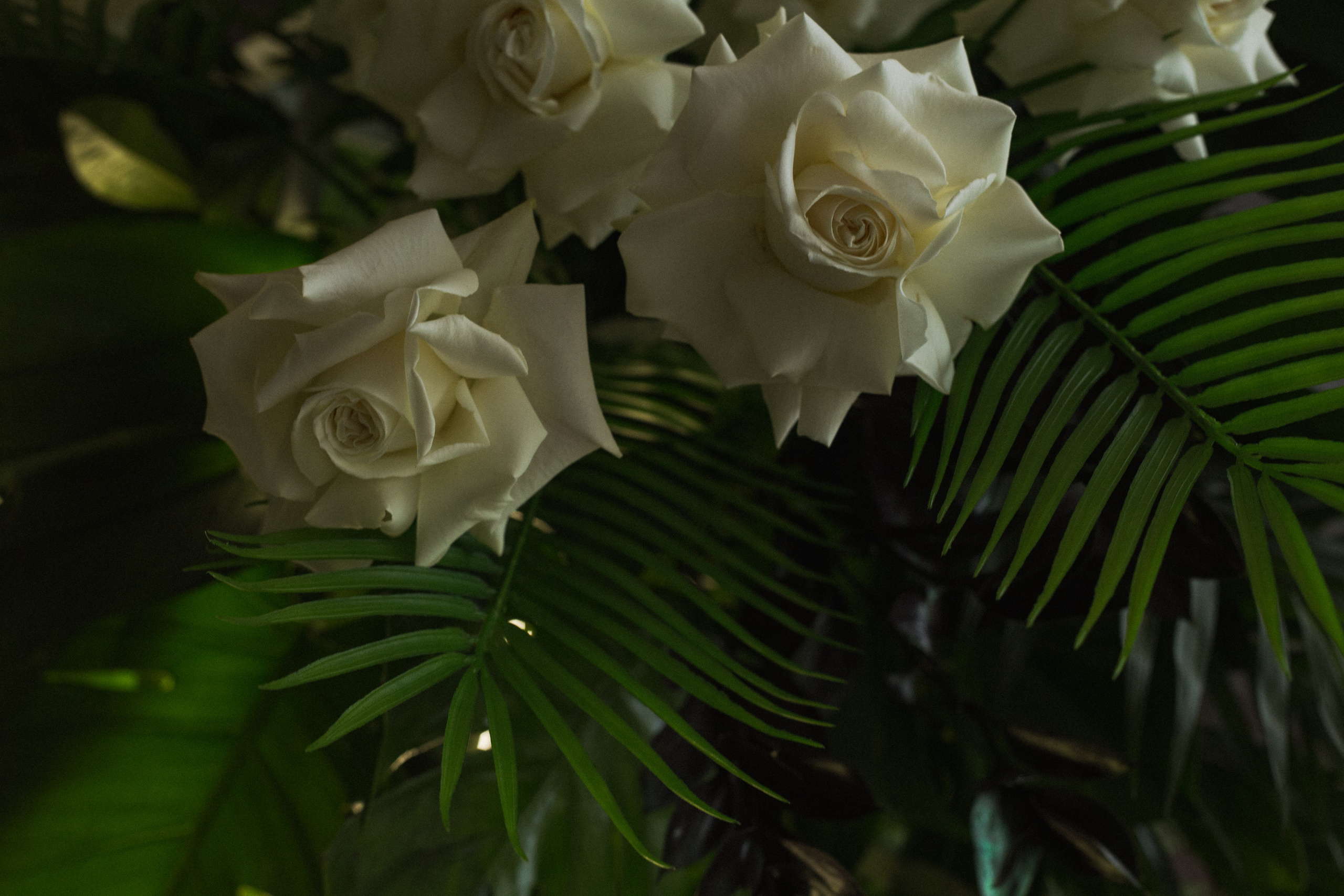 Декор свадьбы. Виктория Еремина — фотограф и видеограф в Москве