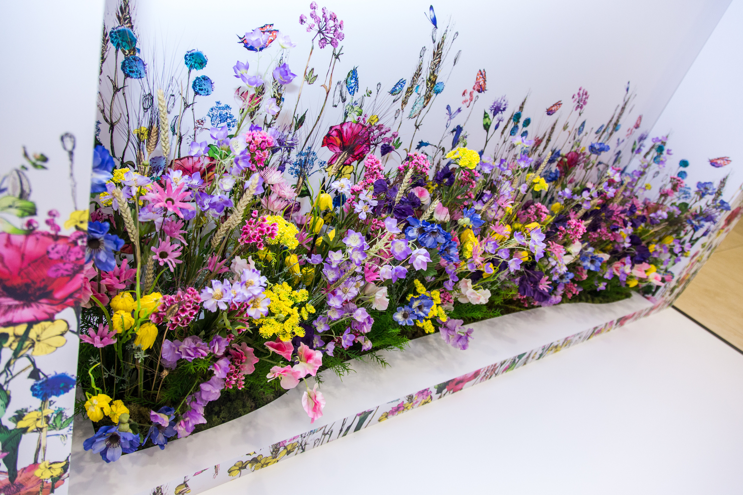 Dior. Виктория Еремина — фотограф и видеограф в Москве