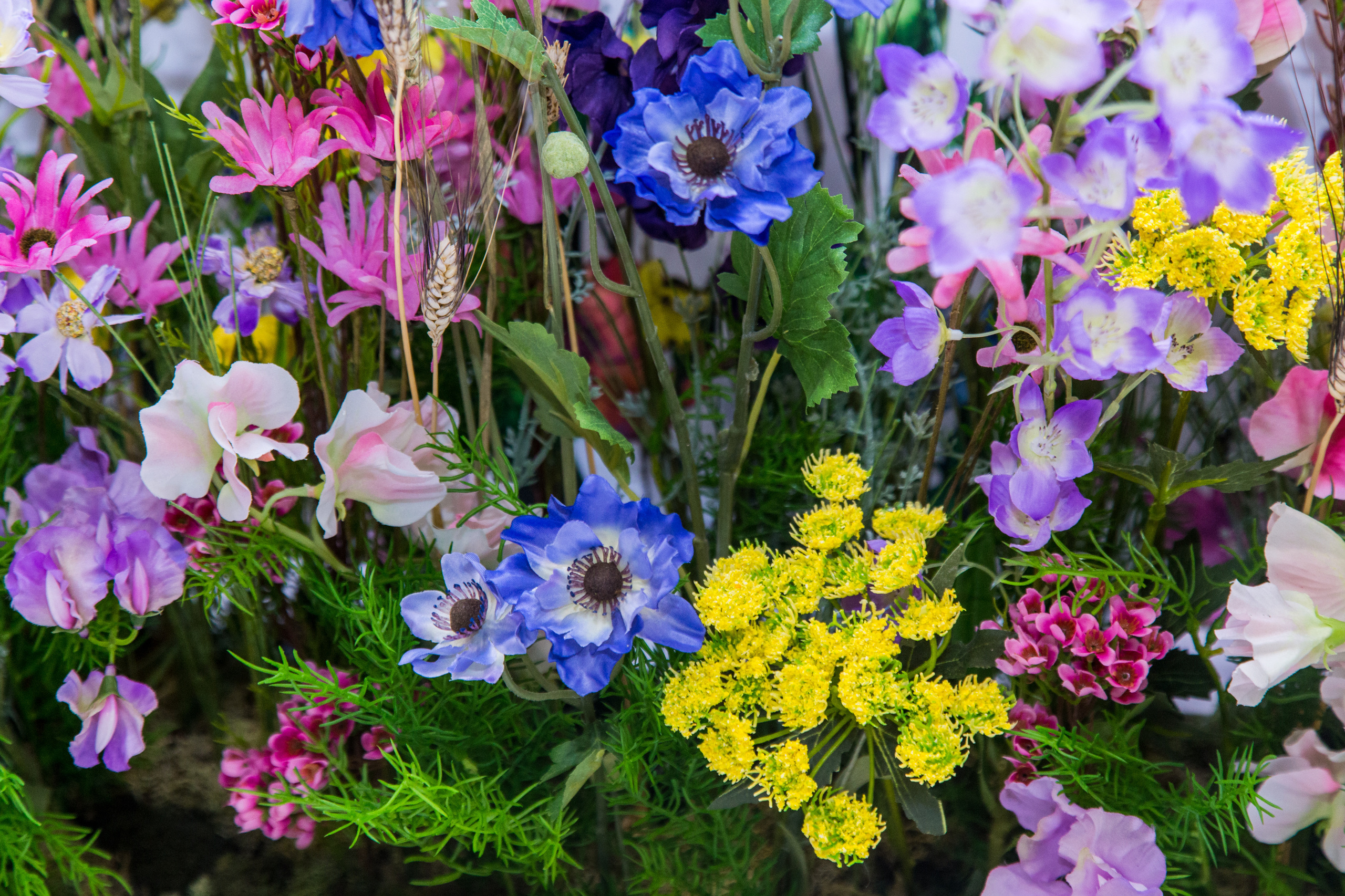 Dior. Виктория Еремина — фотограф и видеограф в Москве