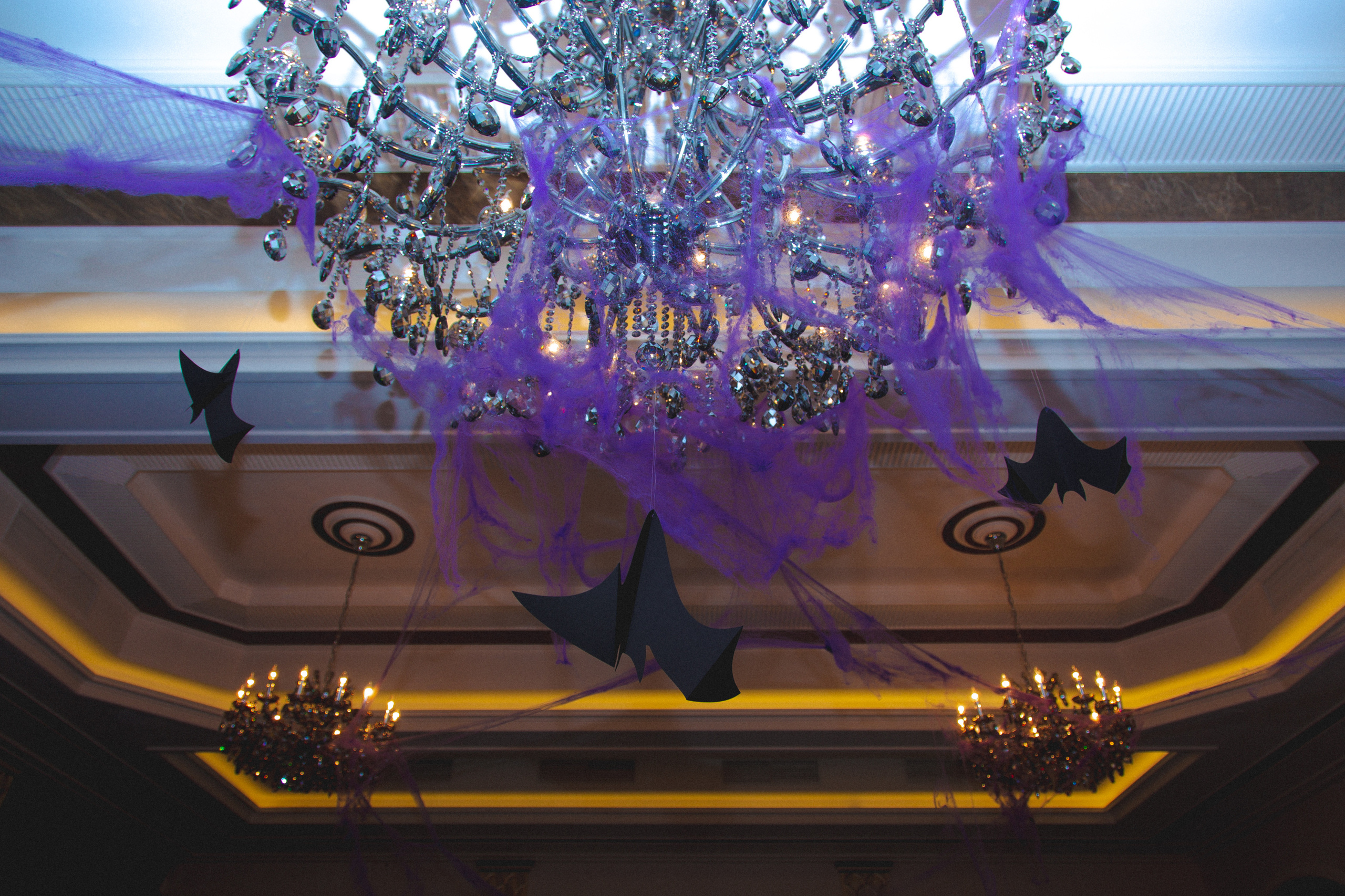 День рождения Ариэль. Виктория Еремина — фотограф и видеограф в Москве