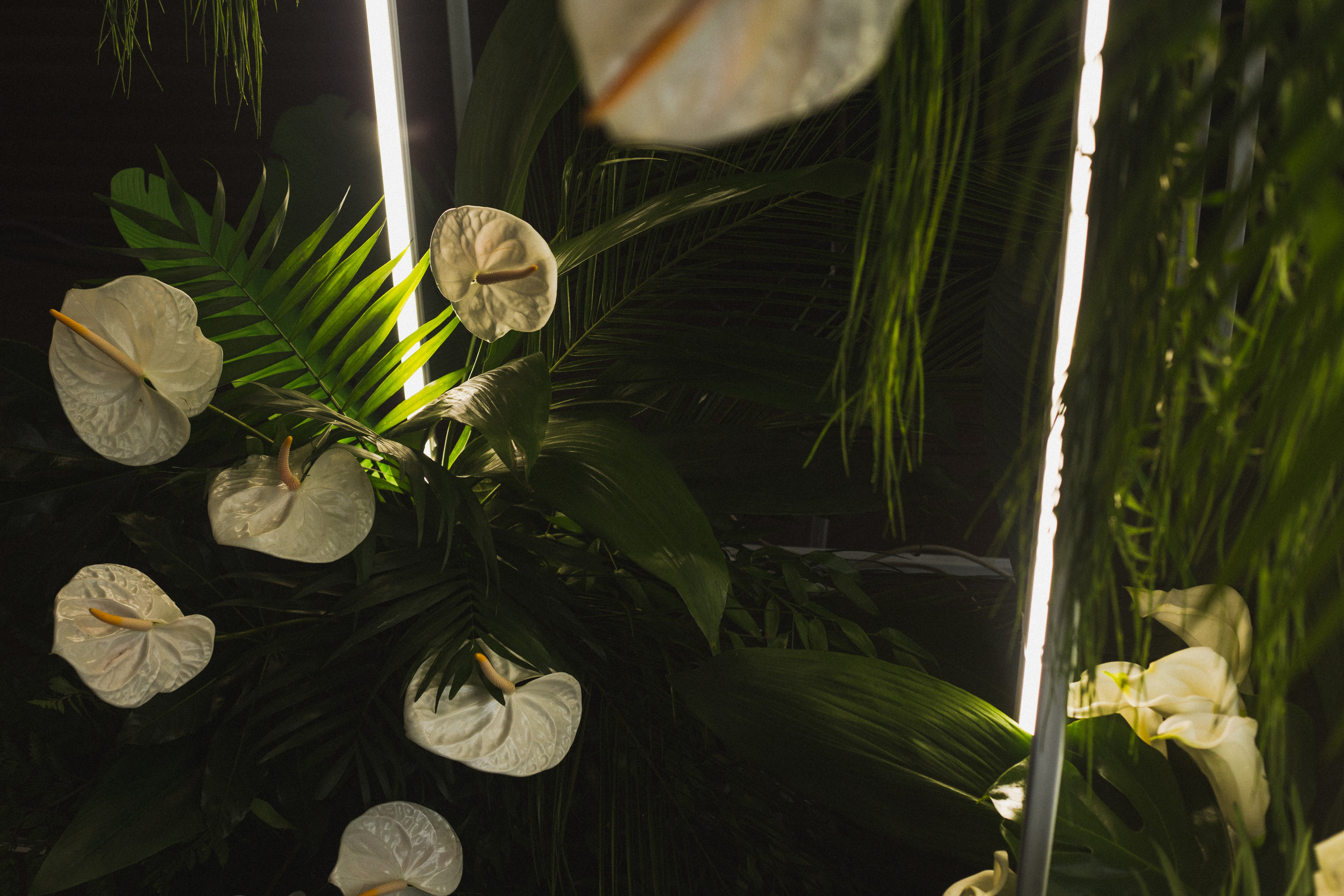 Декор свадьбы. Виктория Еремина — фотограф и видеограф в Москве