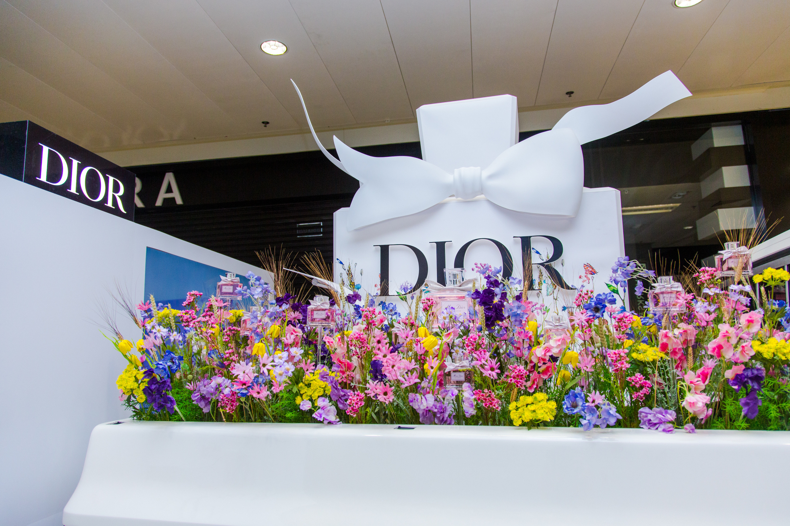 Dior. Виктория Еремина — фотограф и видеограф в Москве