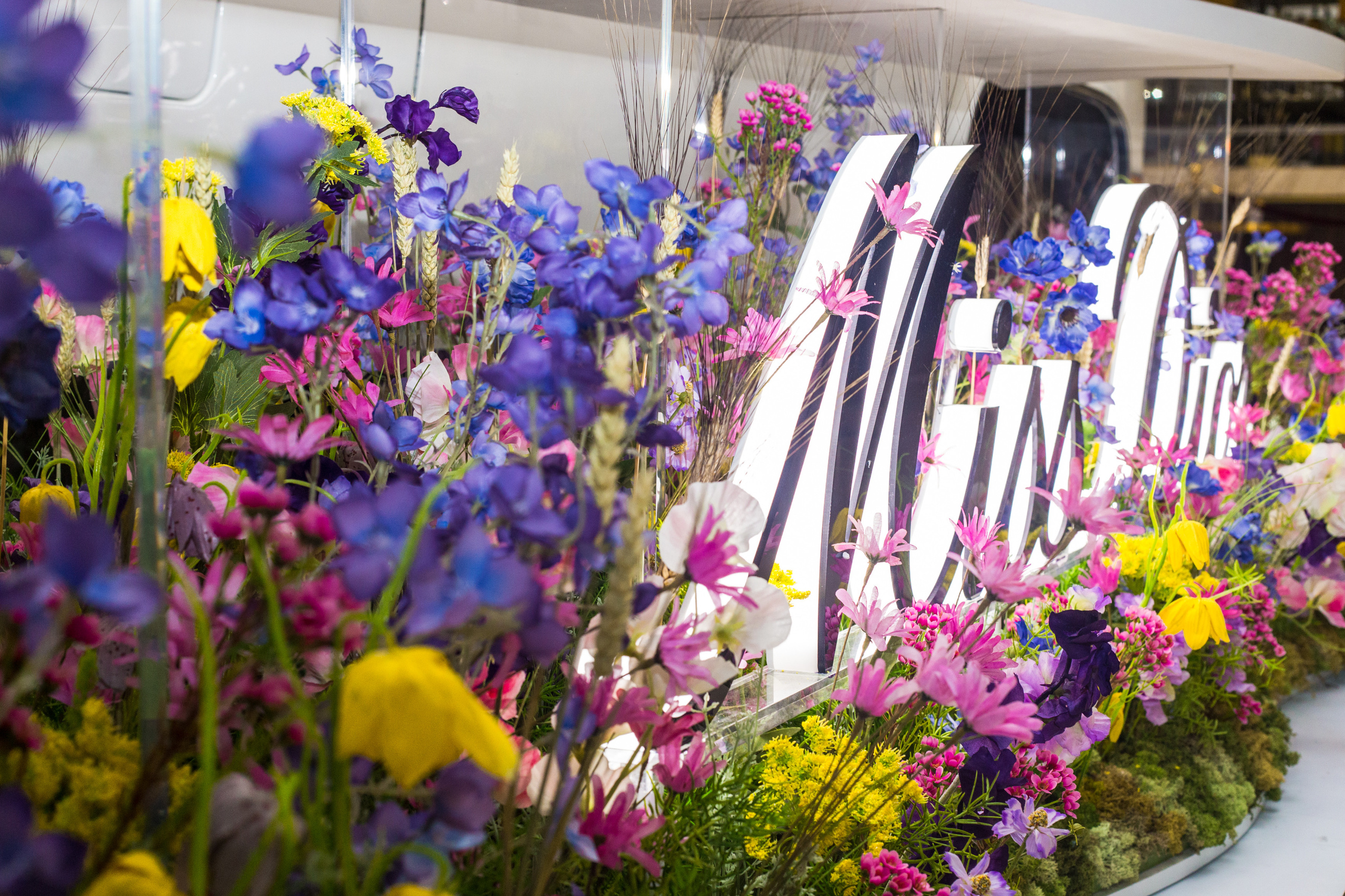 Dior. Виктория Еремина — фотограф и видеограф в Москве