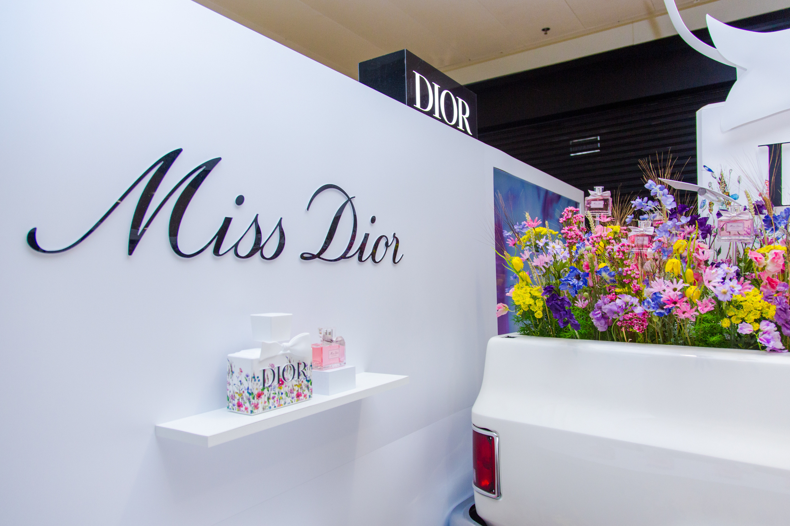 Dior. Виктория Еремина — фотограф и видеограф в Москве