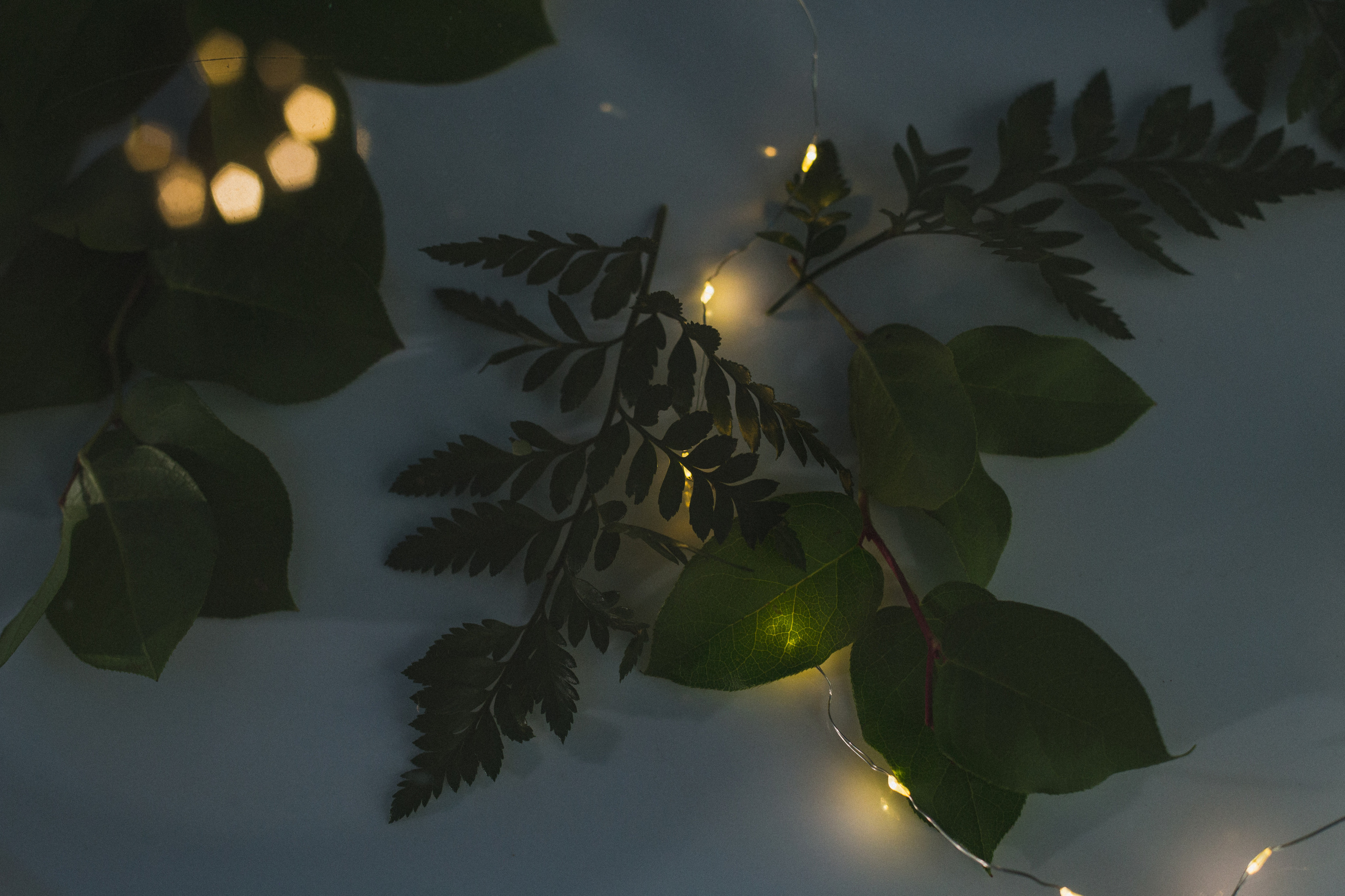 Декор свадьбы. Виктория Еремина — фотограф и видеограф в Москве