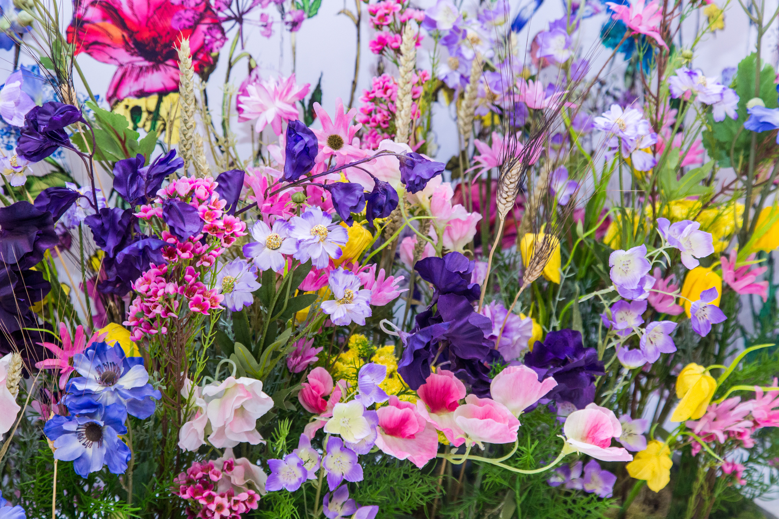 Dior. Виктория Еремина — фотограф и видеограф в Москве