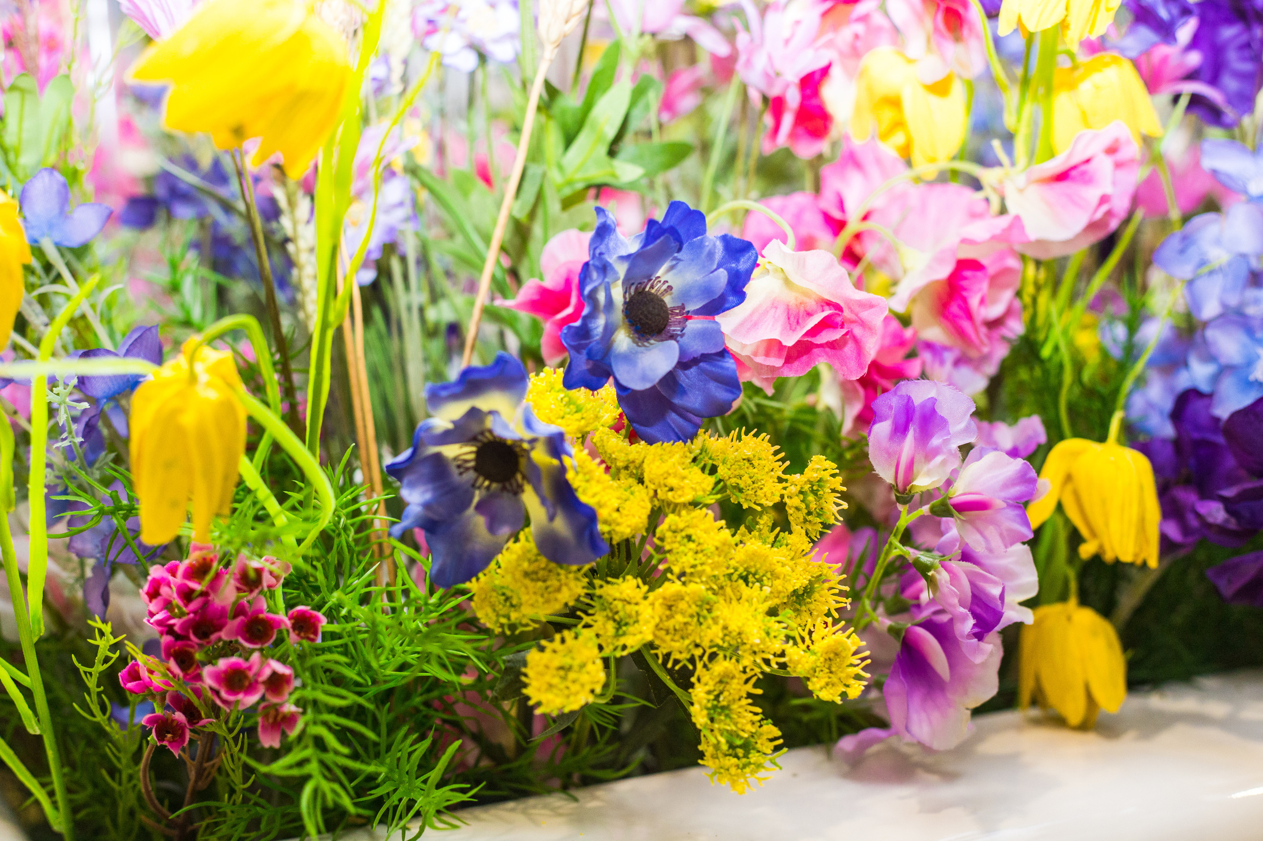 Dior. Виктория Еремина — фотограф и видеограф в Москве