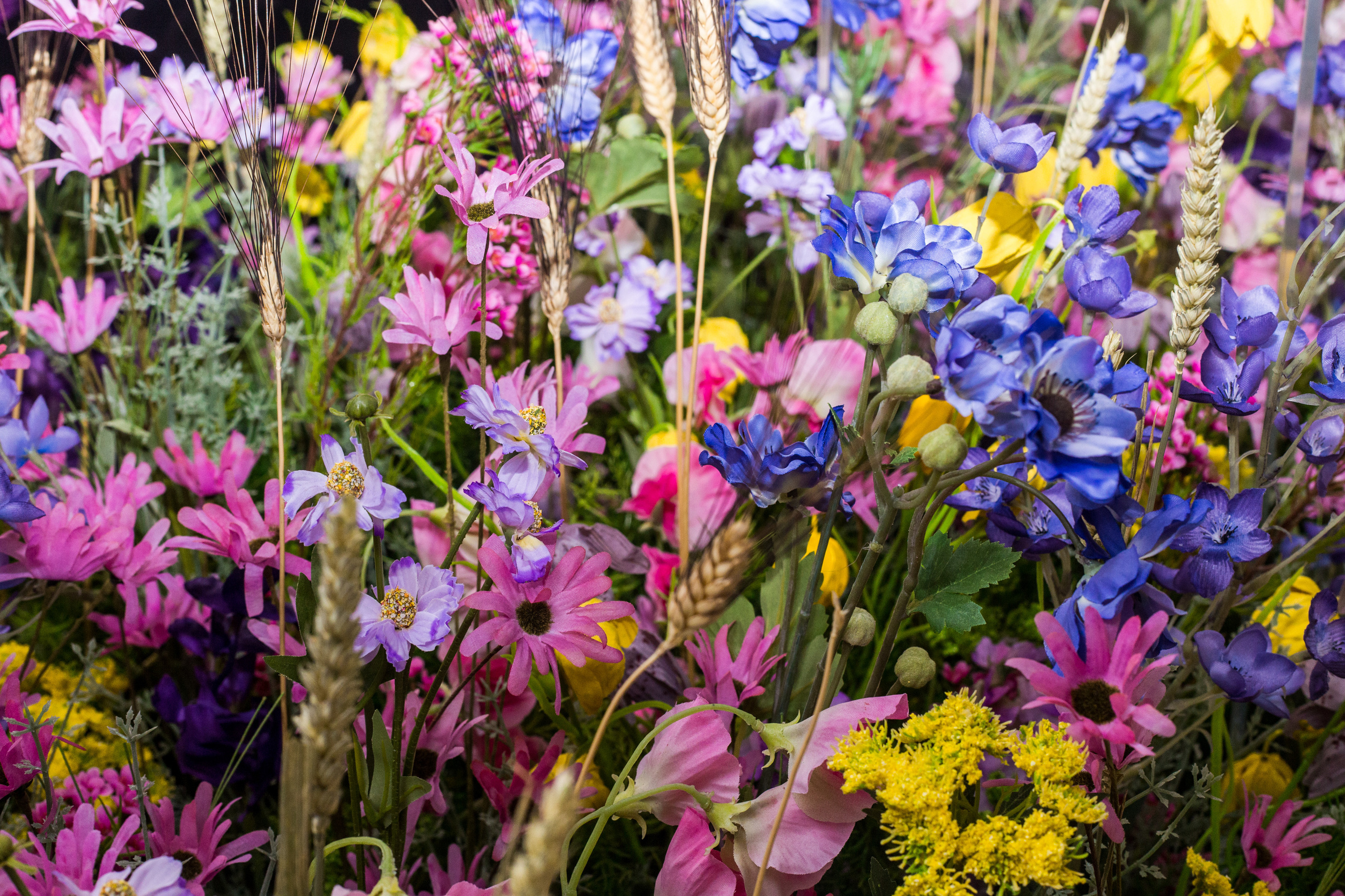 Dior. Виктория Еремина — фотограф и видеограф в Москве