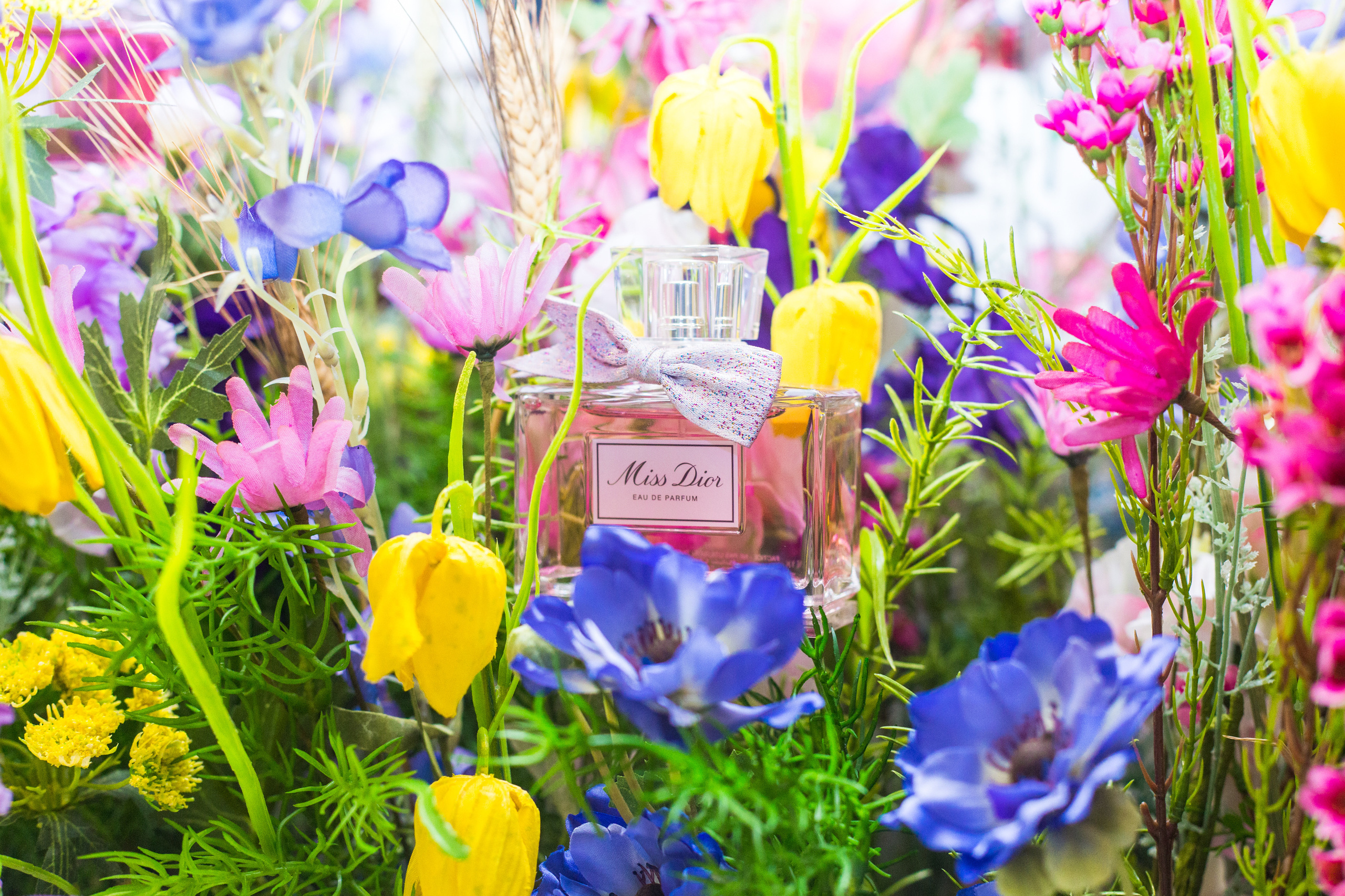 Dior. Виктория Еремина — фотограф и видеограф в Москве