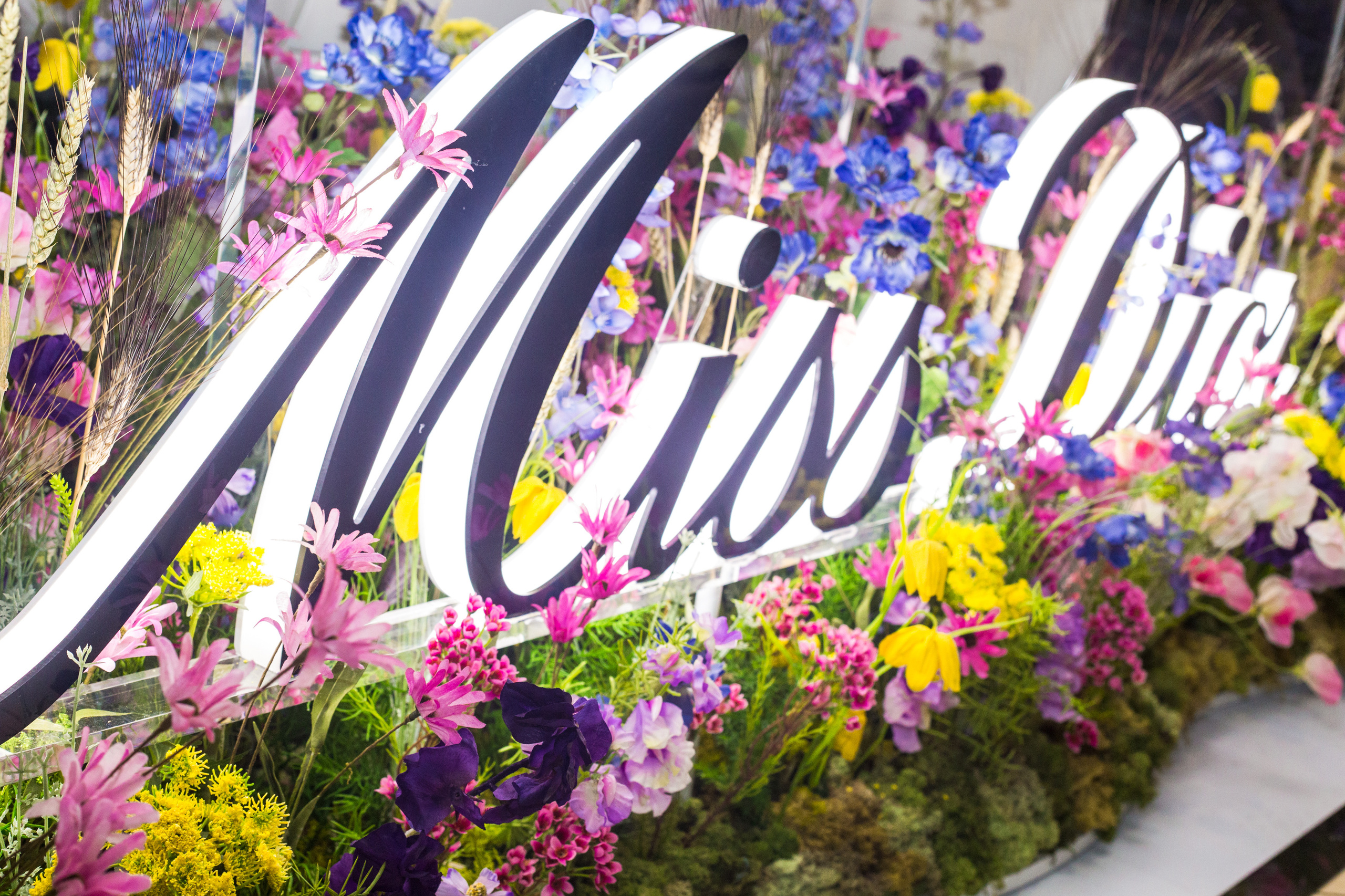 Dior. Виктория Еремина — фотограф и видеограф в Москве