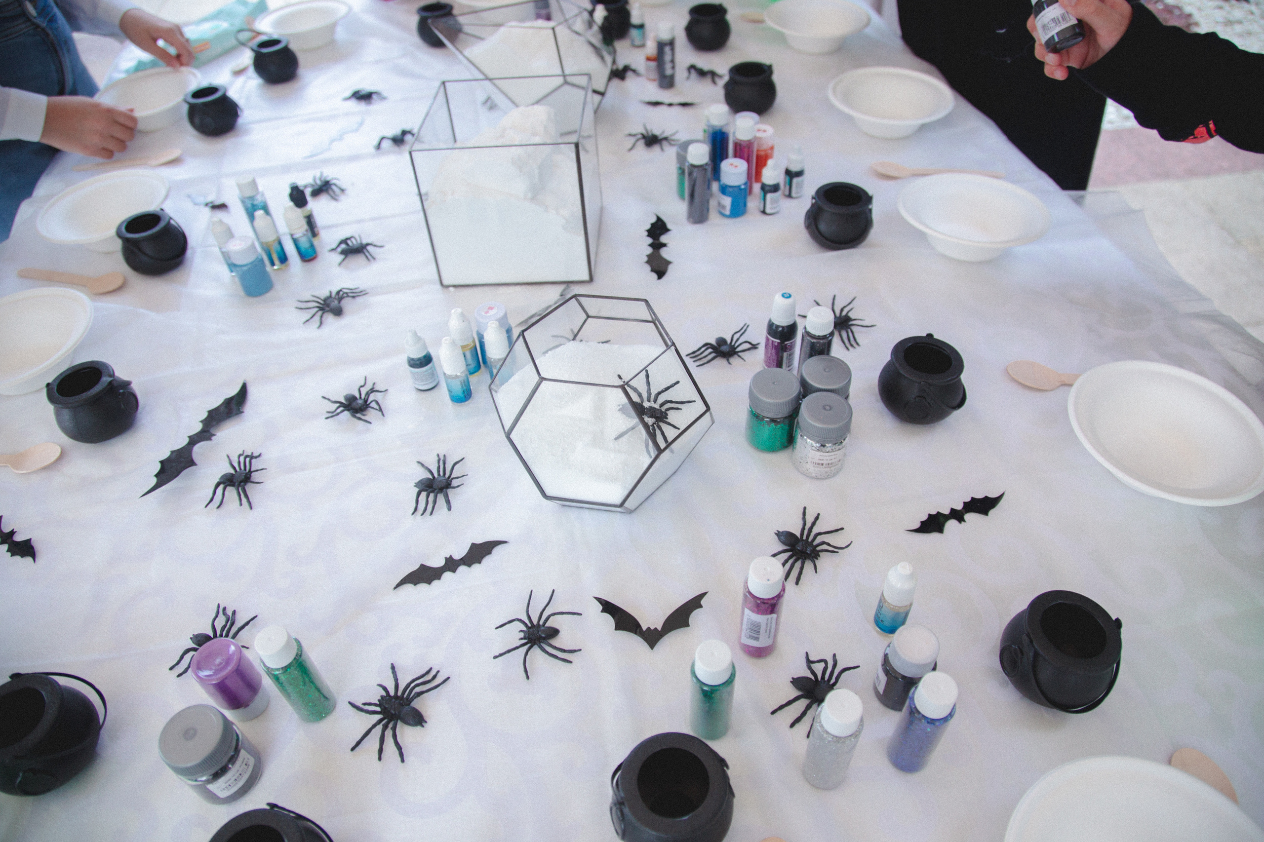 День рождения Ариэль. Виктория Еремина — фотограф и видеограф в Москве