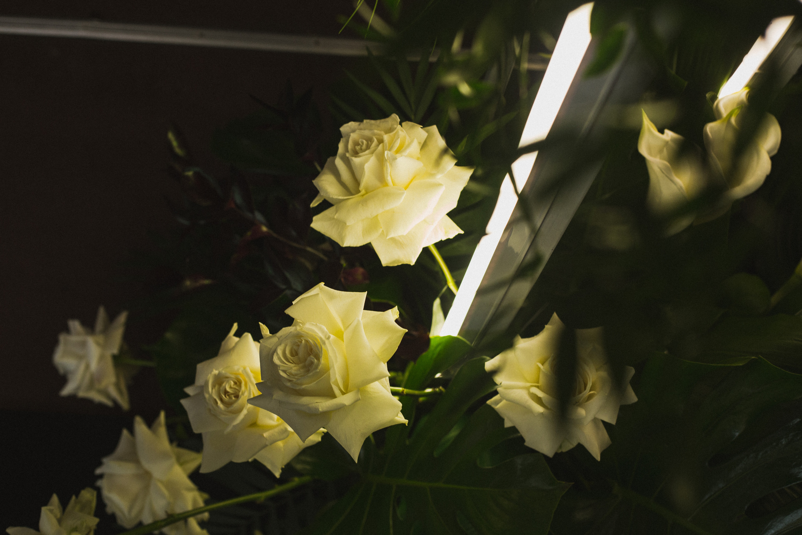 Декор свадьбы. Виктория Еремина — фотограф и видеограф в Москве