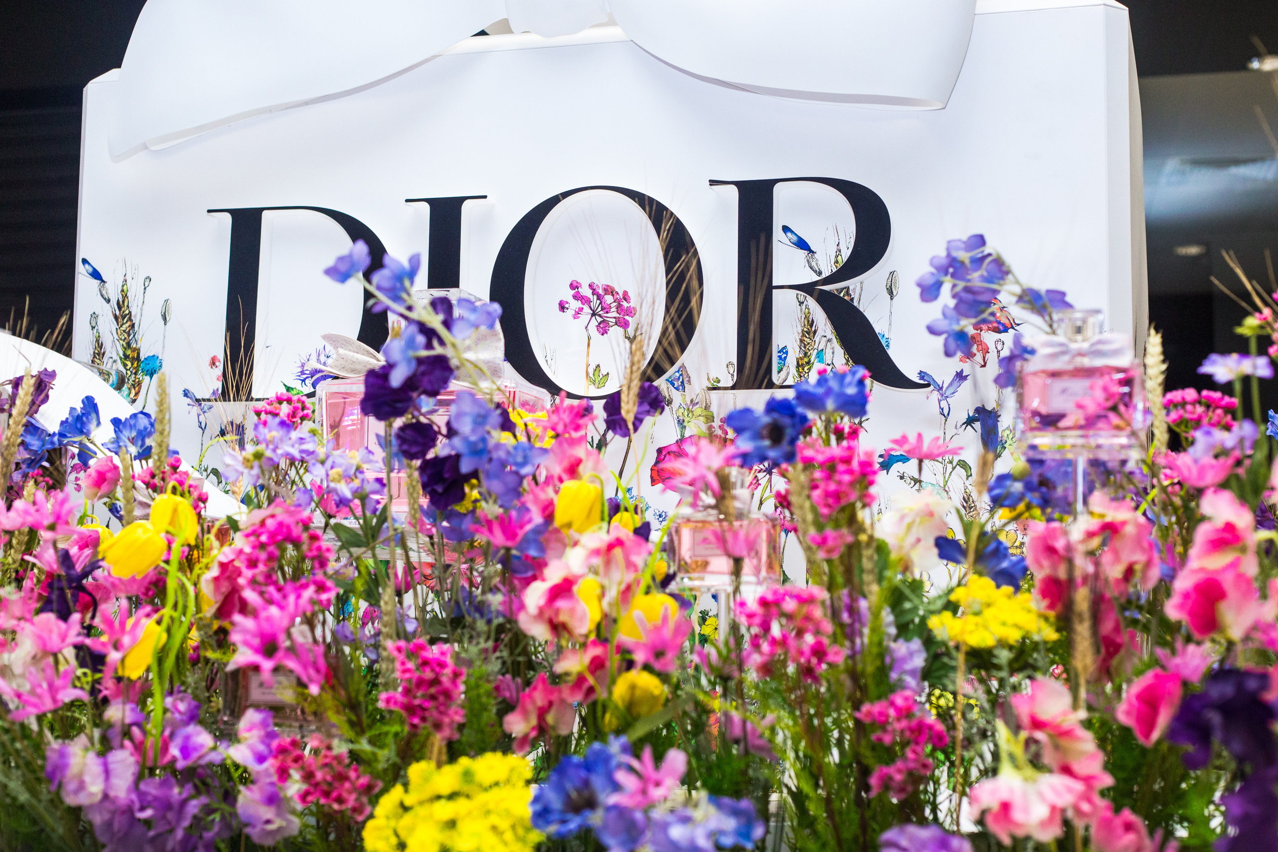 Dior. Виктория Еремина — фотограф и видеограф в Москве