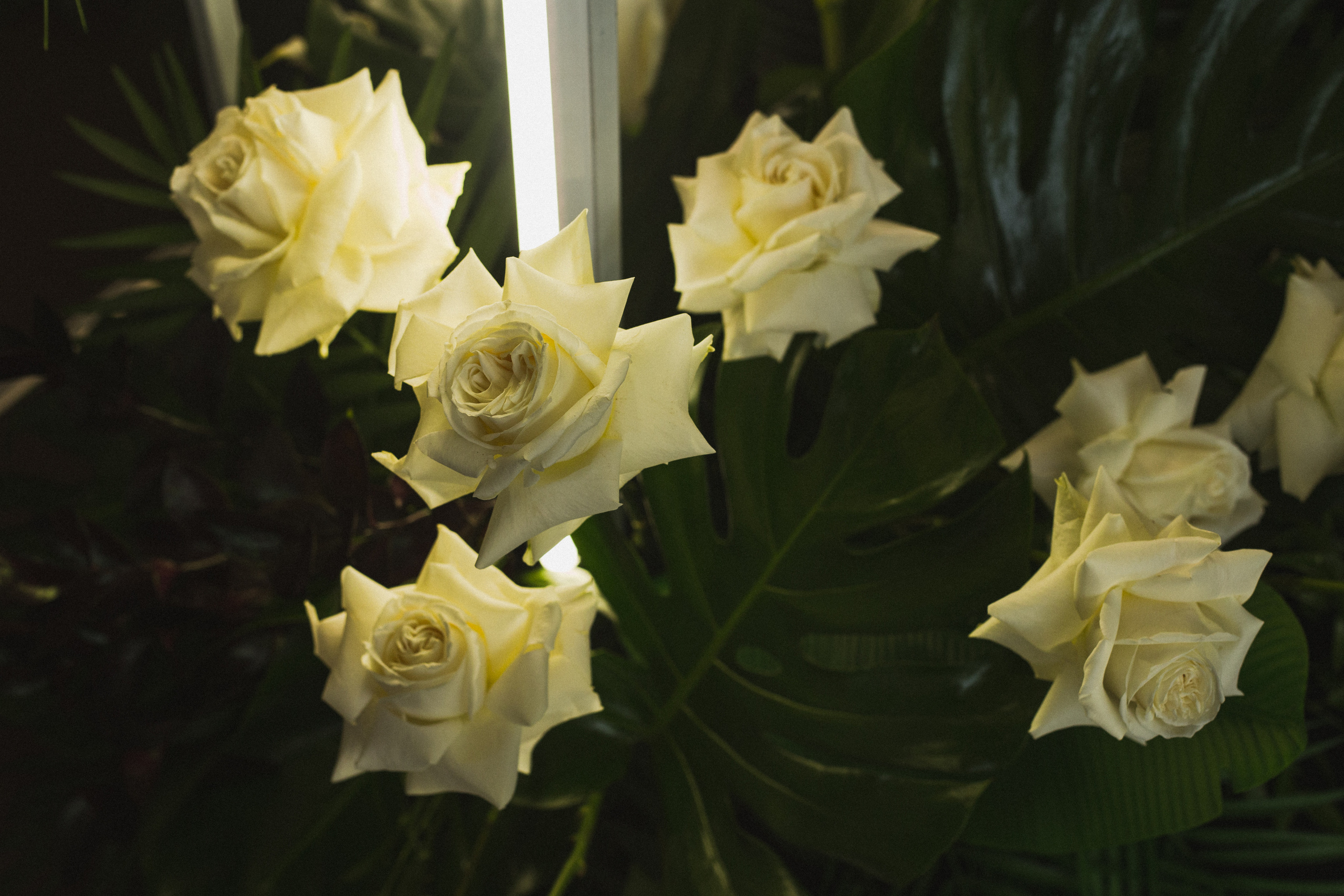 Декор свадьбы. Виктория Еремина — фотограф и видеограф в Москве