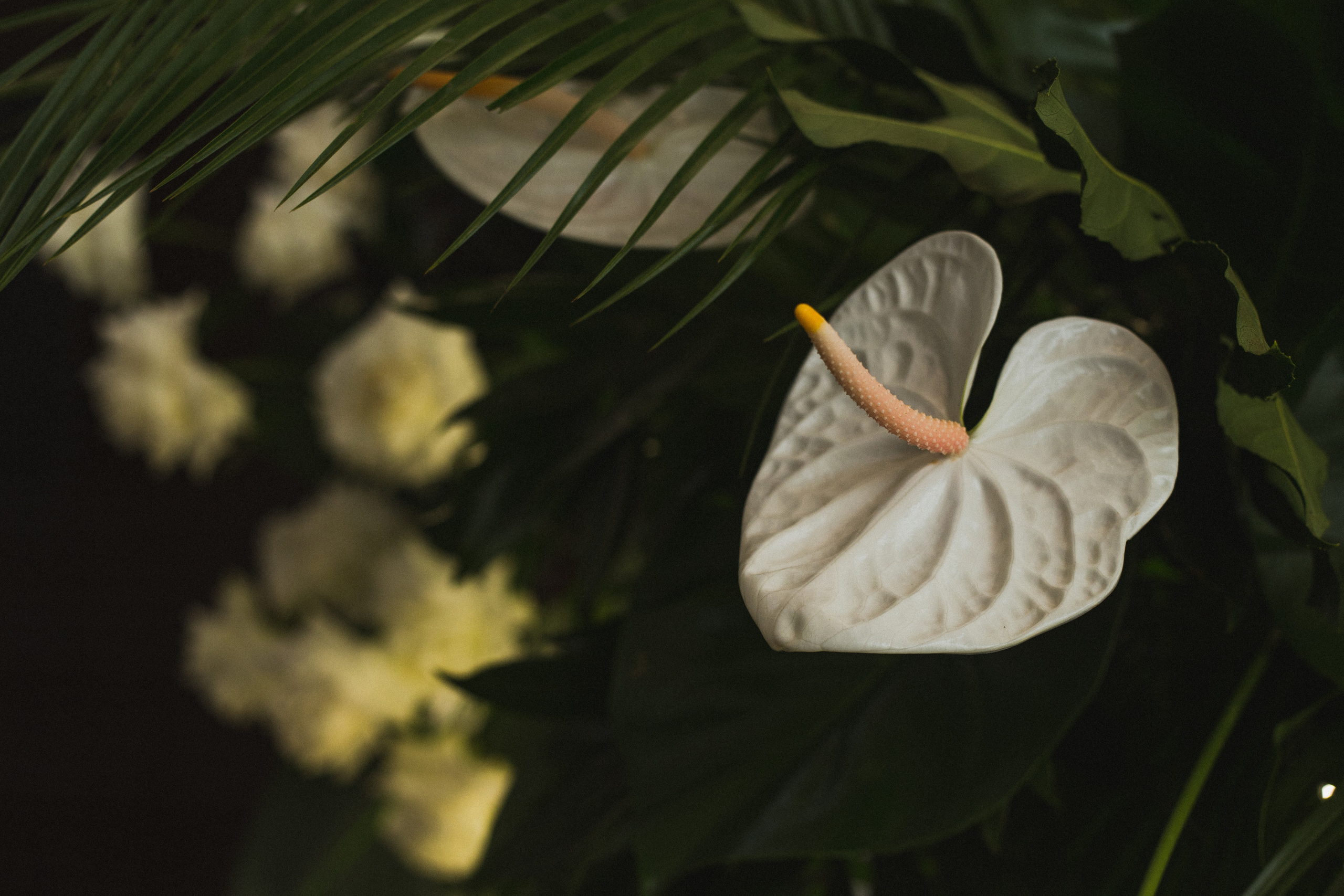 Декор свадьбы. Виктория Еремина — фотограф и видеограф в Москве