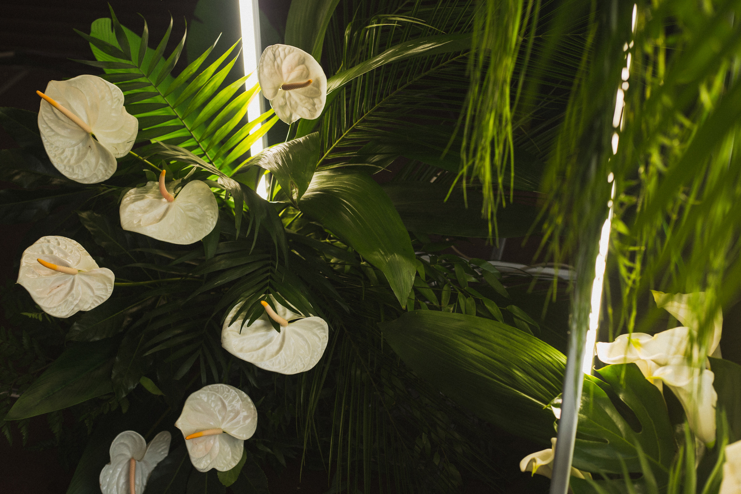 Декор свадьбы. Виктория Еремина — фотограф и видеограф в Москве