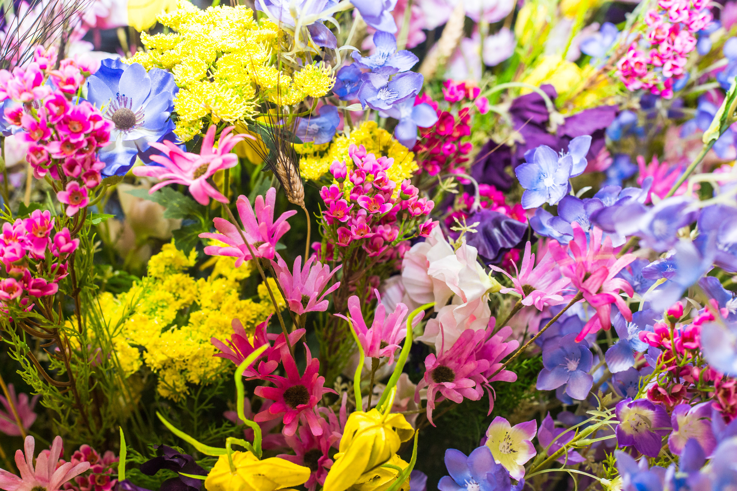 Dior. Виктория Еремина — фотограф и видеограф в Москве