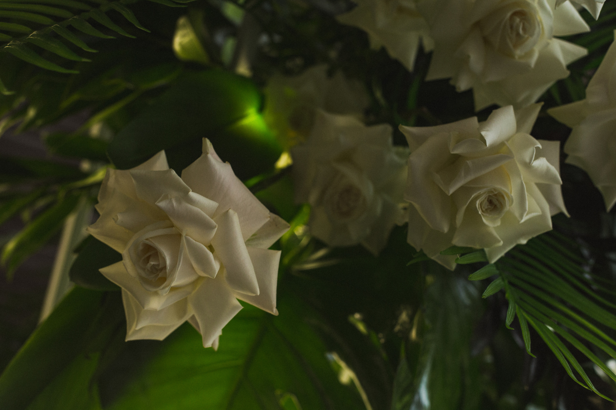 Декор свадьбы. Виктория Еремина — фотограф и видеограф в Москве