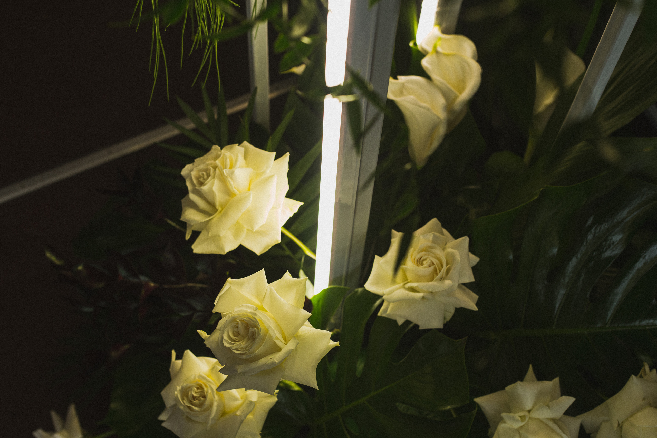 Декор свадьбы. Виктория Еремина — фотограф и видеограф в Москве