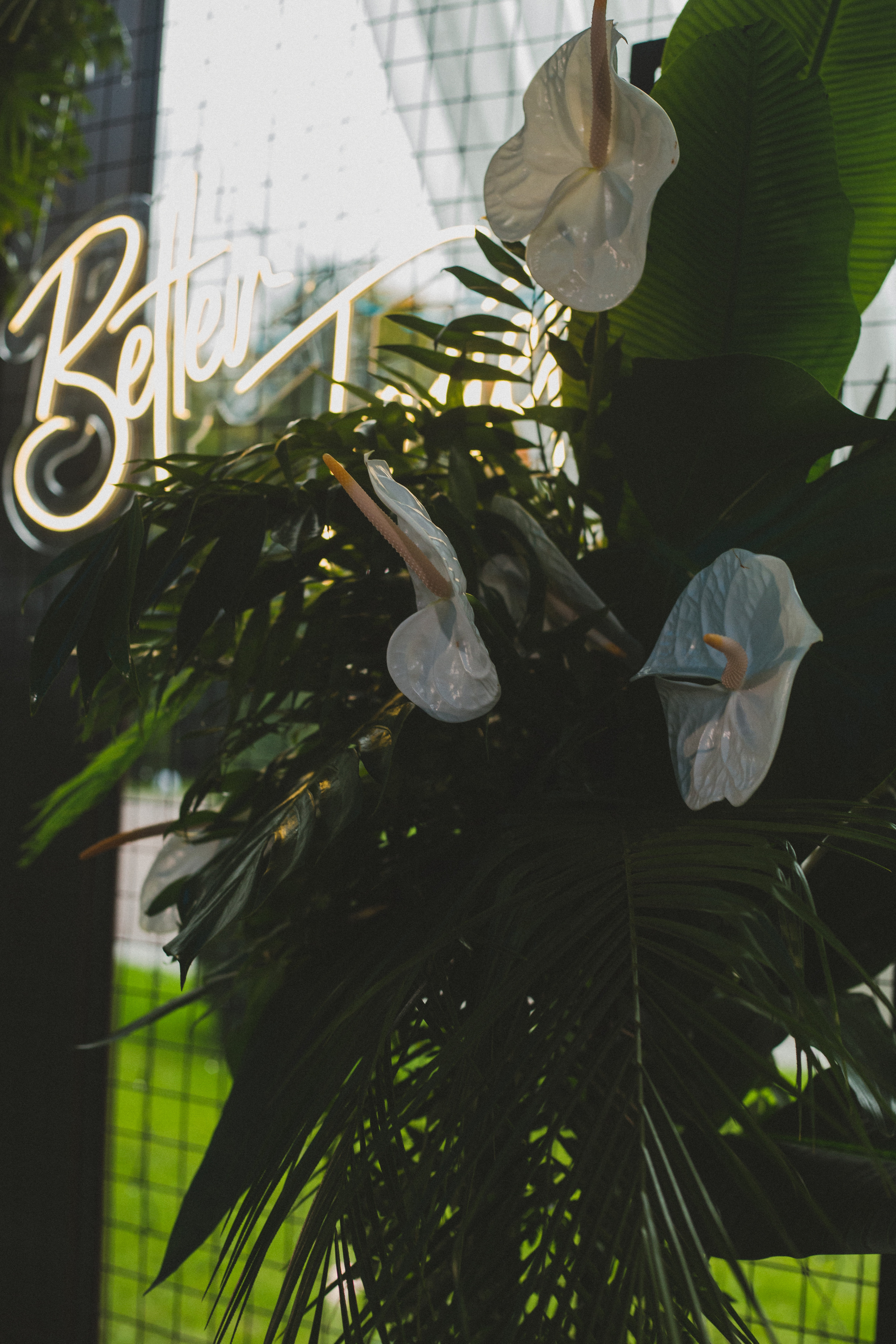 Декор свадьбы. Виктория Еремина — фотограф и видеограф в Москве