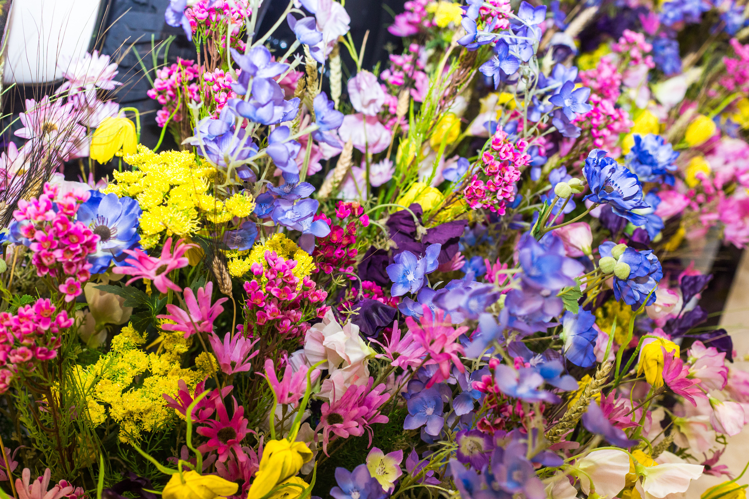 Dior. Виктория Еремина — фотограф и видеограф в Москве