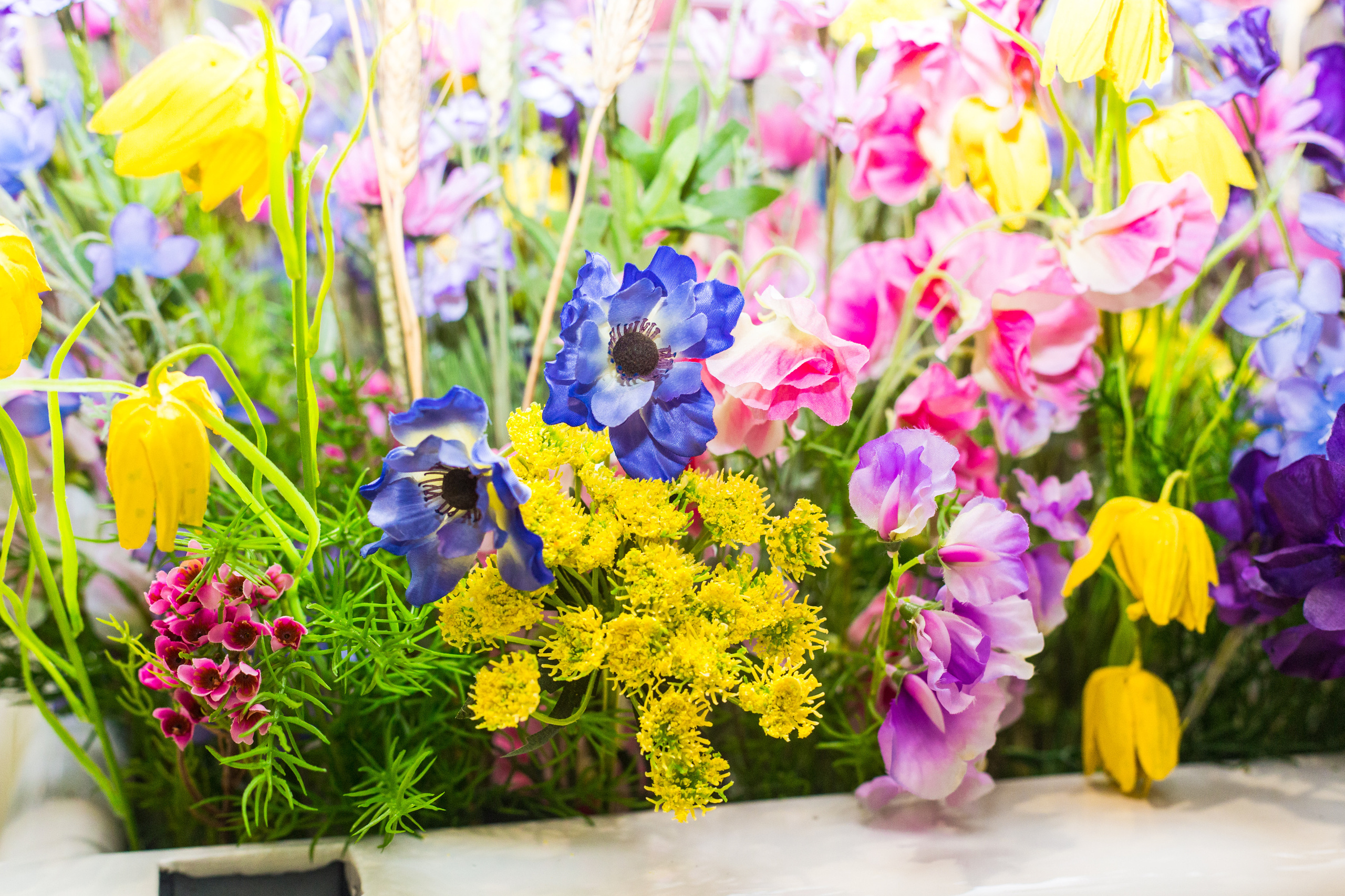 Dior. Виктория Еремина — фотограф и видеограф в Москве