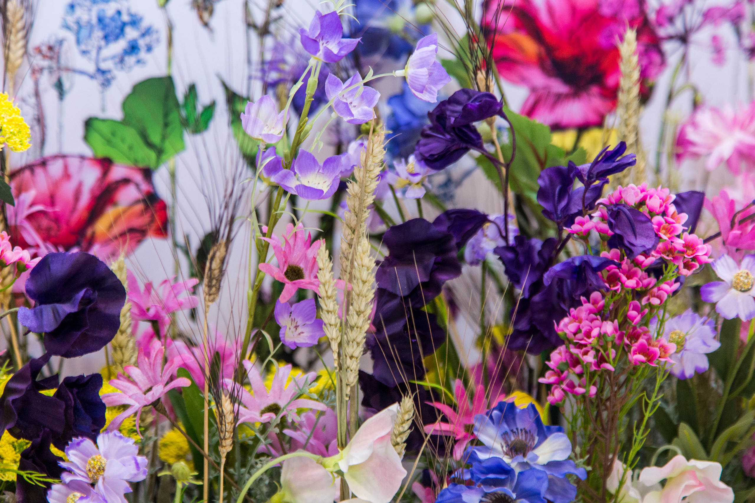 Dior. Виктория Еремина — фотограф и видеограф в Москве