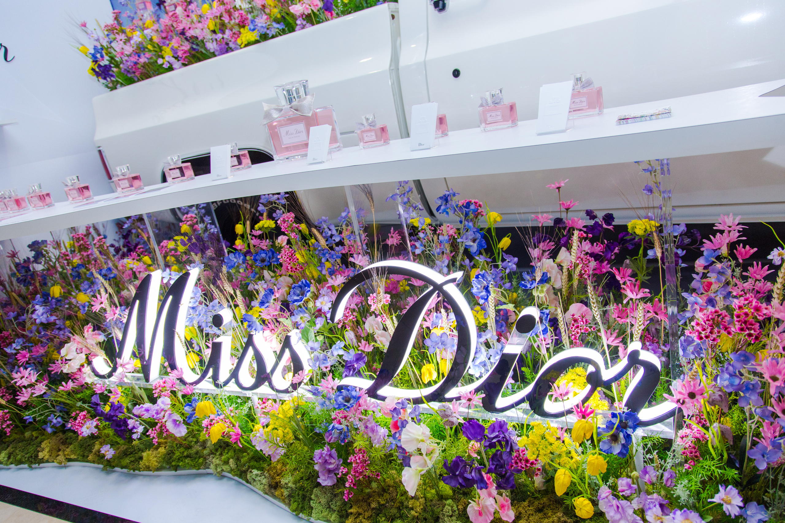 Dior. Виктория Еремина — фотограф и видеограф в Москве