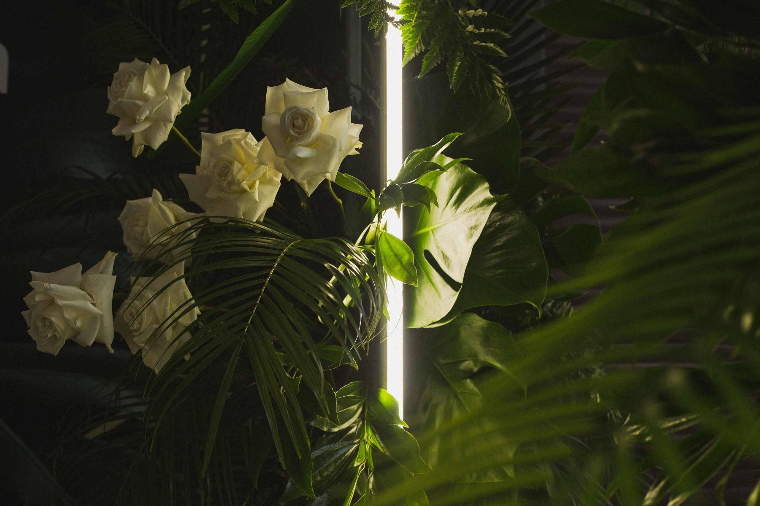 Декор свадьбы. Виктория Еремина — фотограф и видеограф в Москве