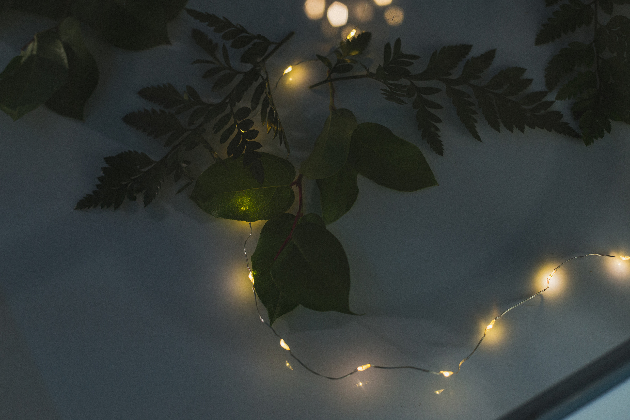 Декор свадьбы. Виктория Еремина — фотограф и видеограф в Москве