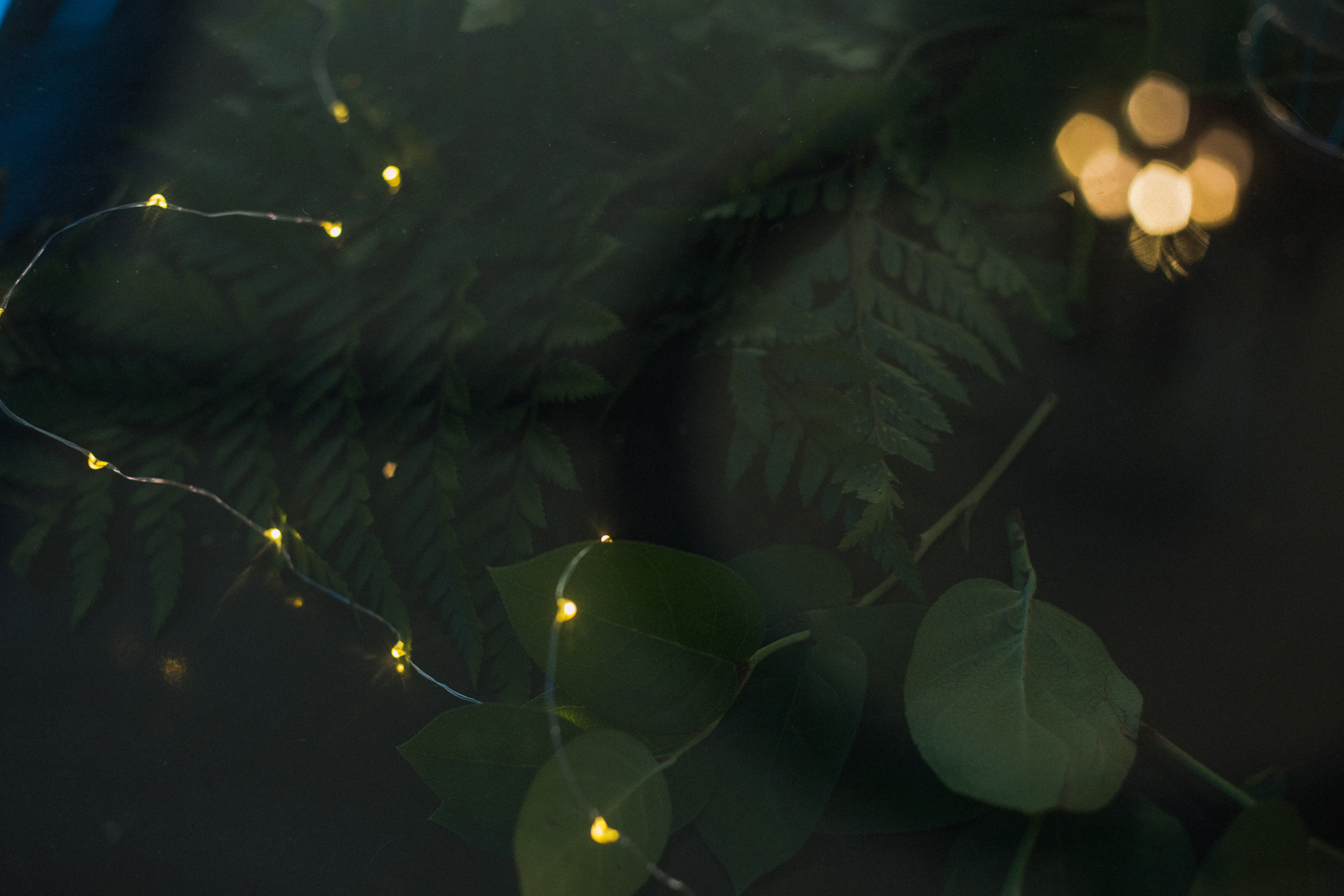 Декор свадьбы. Виктория Еремина — фотограф и видеограф в Москве