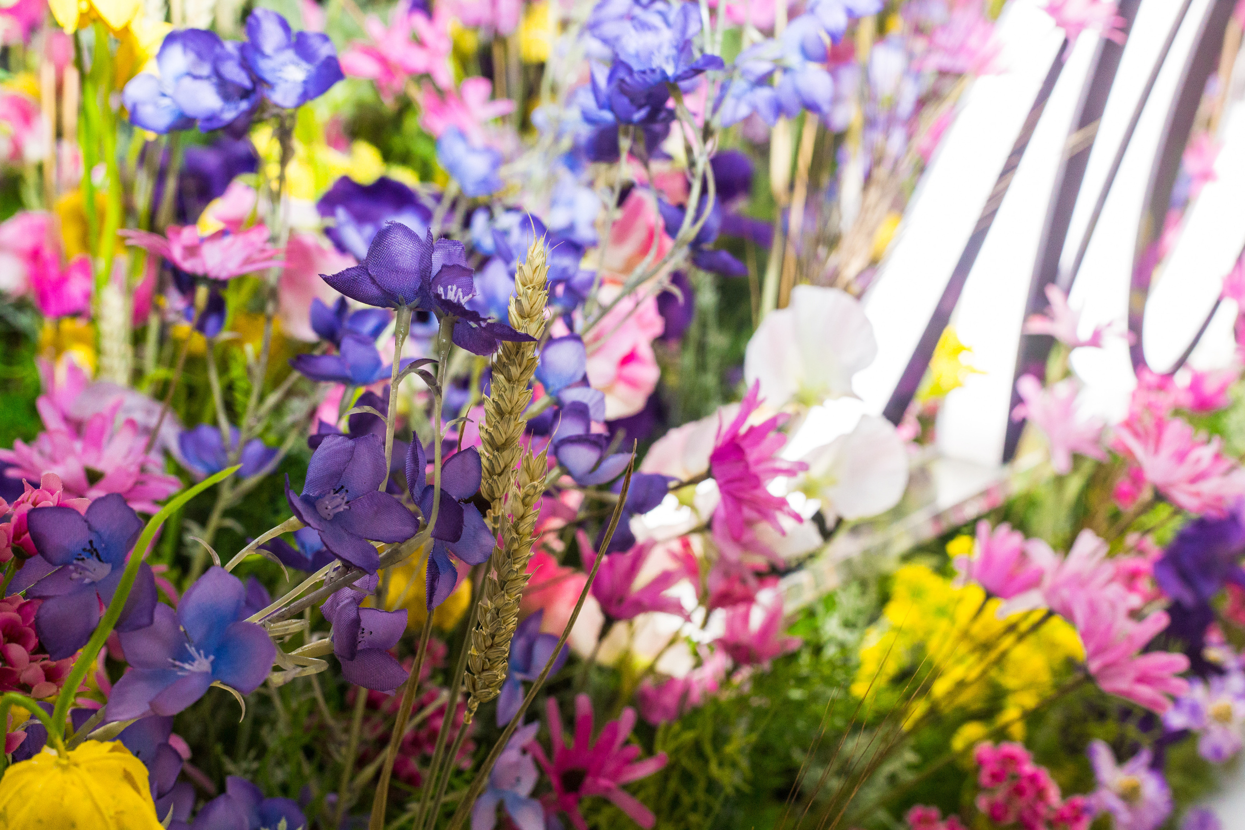 Dior. Виктория Еремина — фотограф и видеограф в Москве