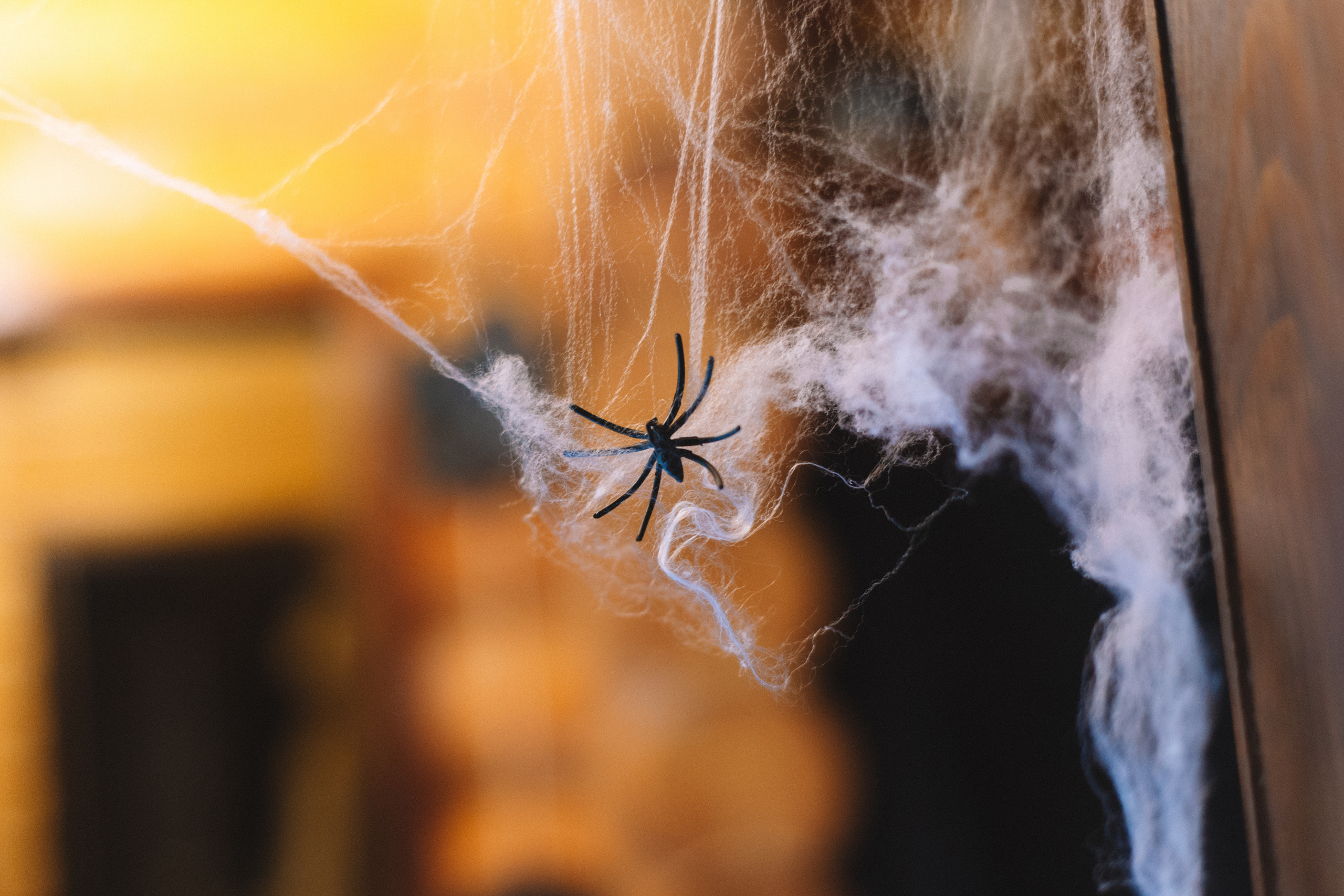 День рождения Ариэль. Виктория Еремина — фотограф и видеограф в Москве