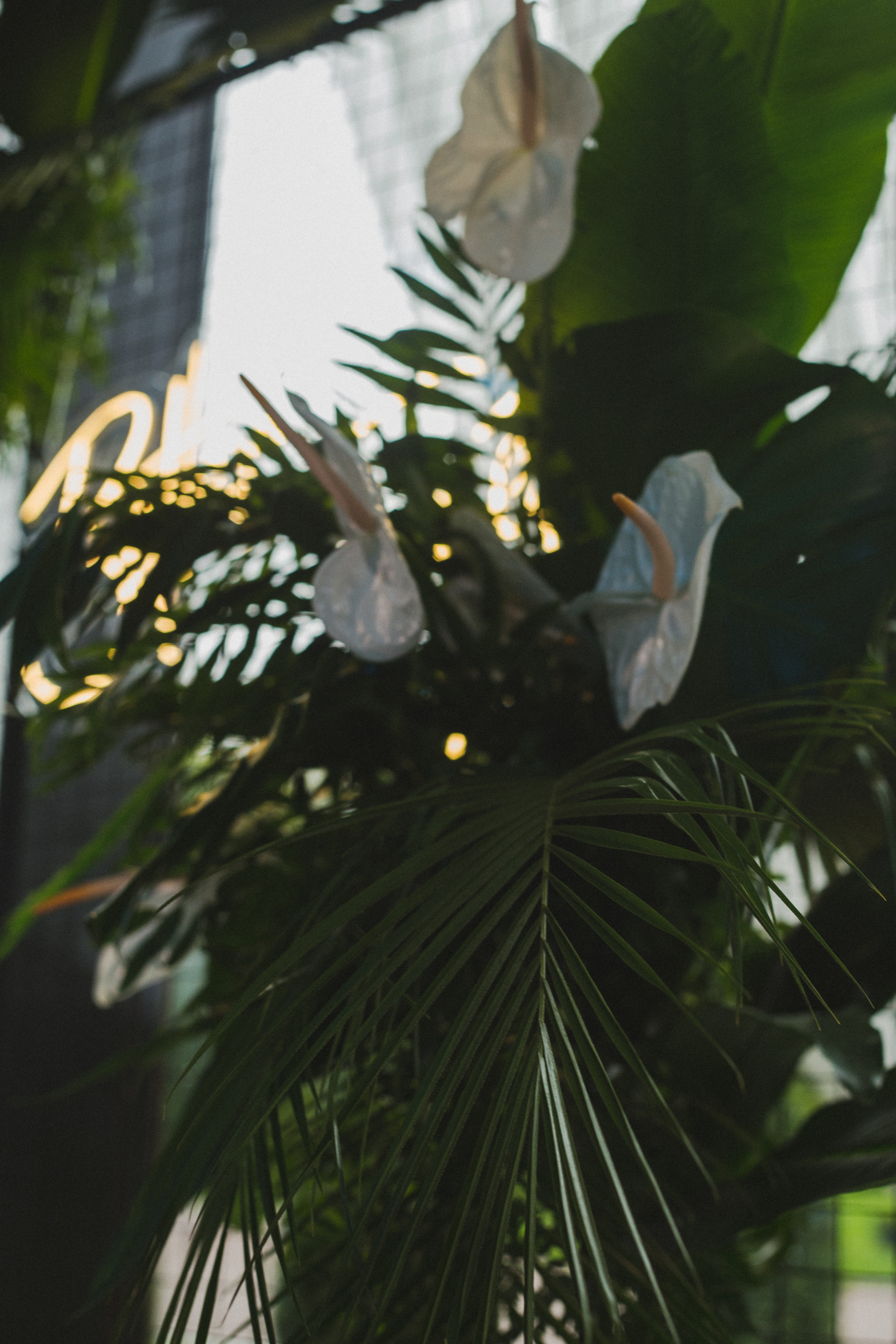 Декор свадьбы. Виктория Еремина — фотограф и видеограф в Москве