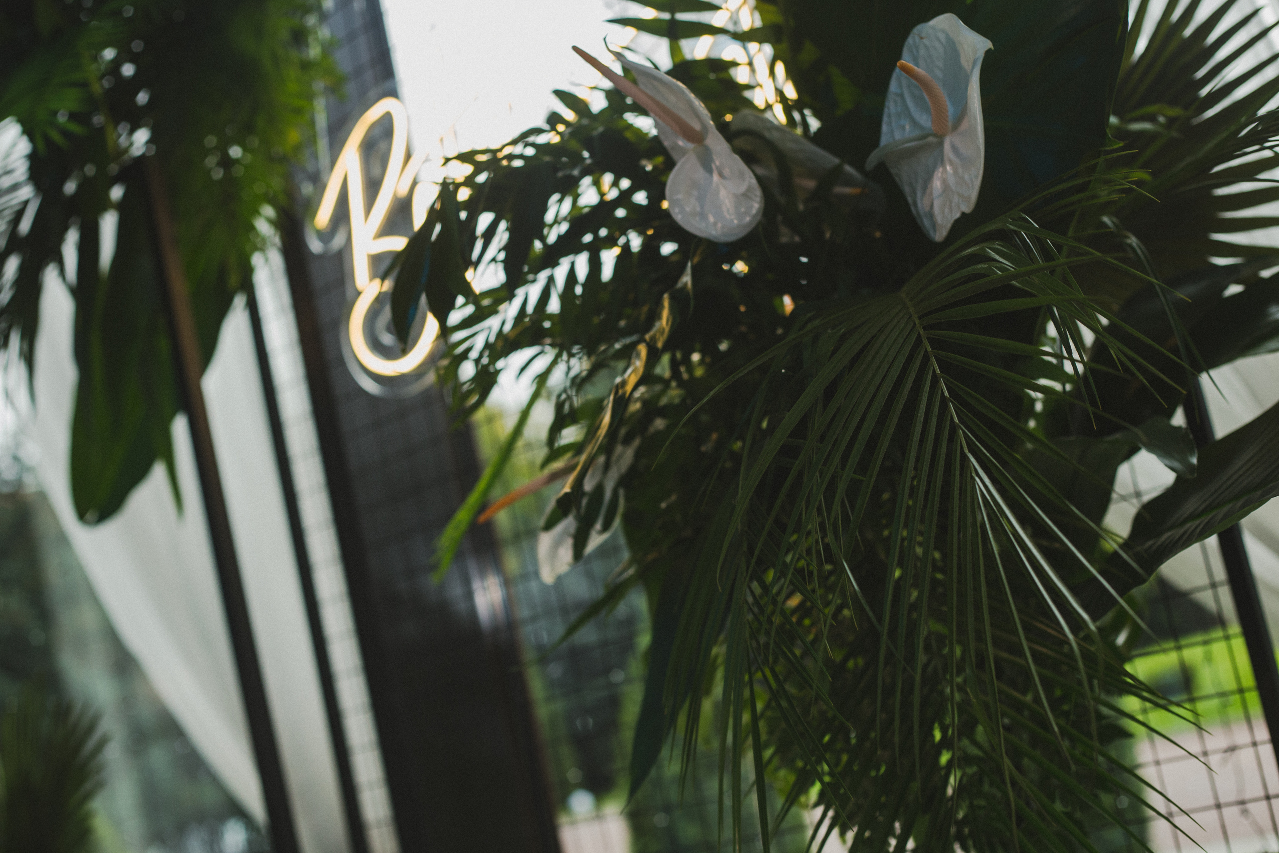 Декор свадьбы. Виктория Еремина — фотограф и видеограф в Москве