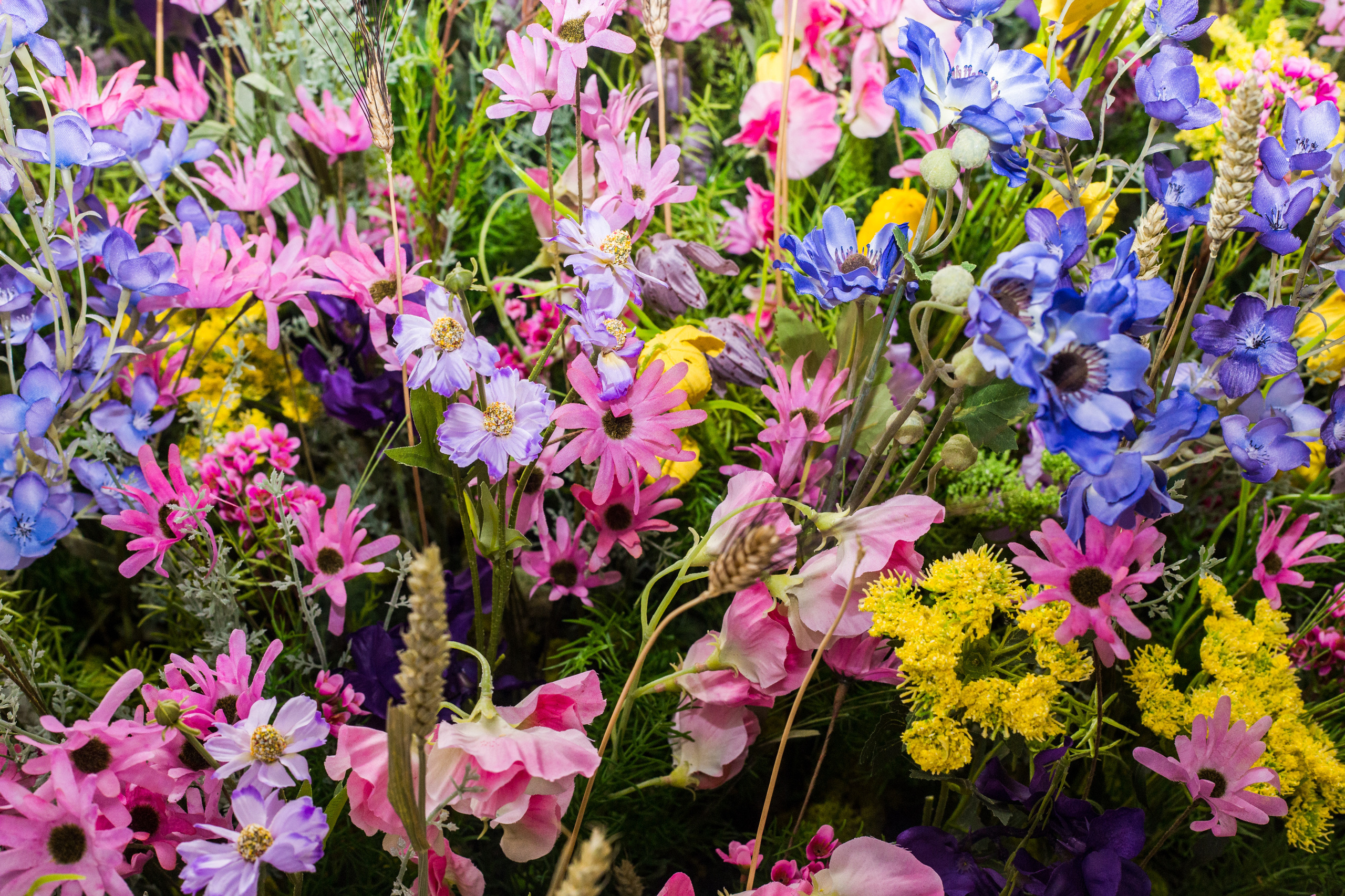 Dior. Виктория Еремина — фотограф и видеограф в Москве