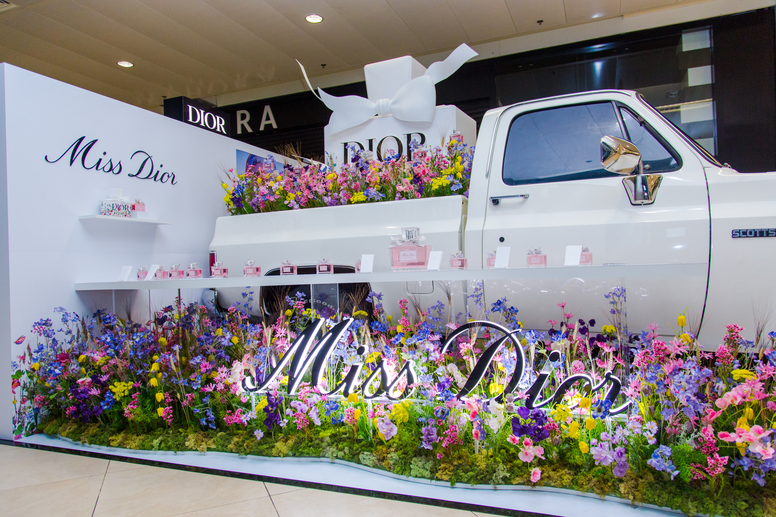 Dior. Виктория Еремина — фотограф и видеограф в Москве