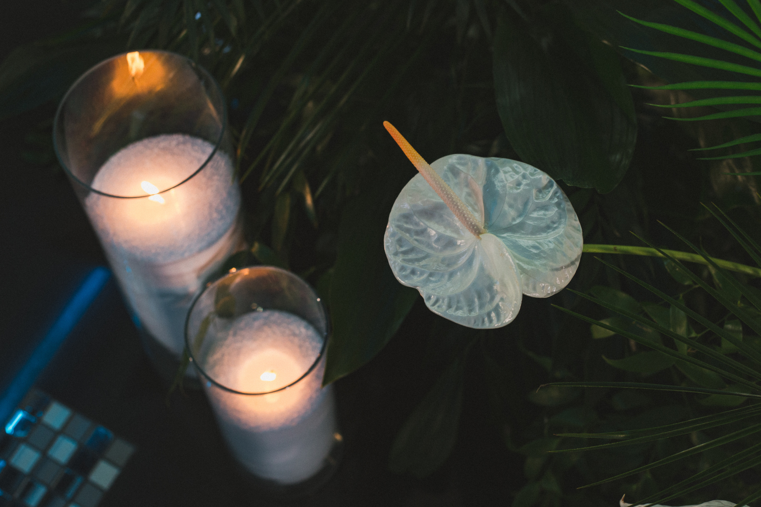 Декор свадьбы. Виктория Еремина — фотограф и видеограф в Москве