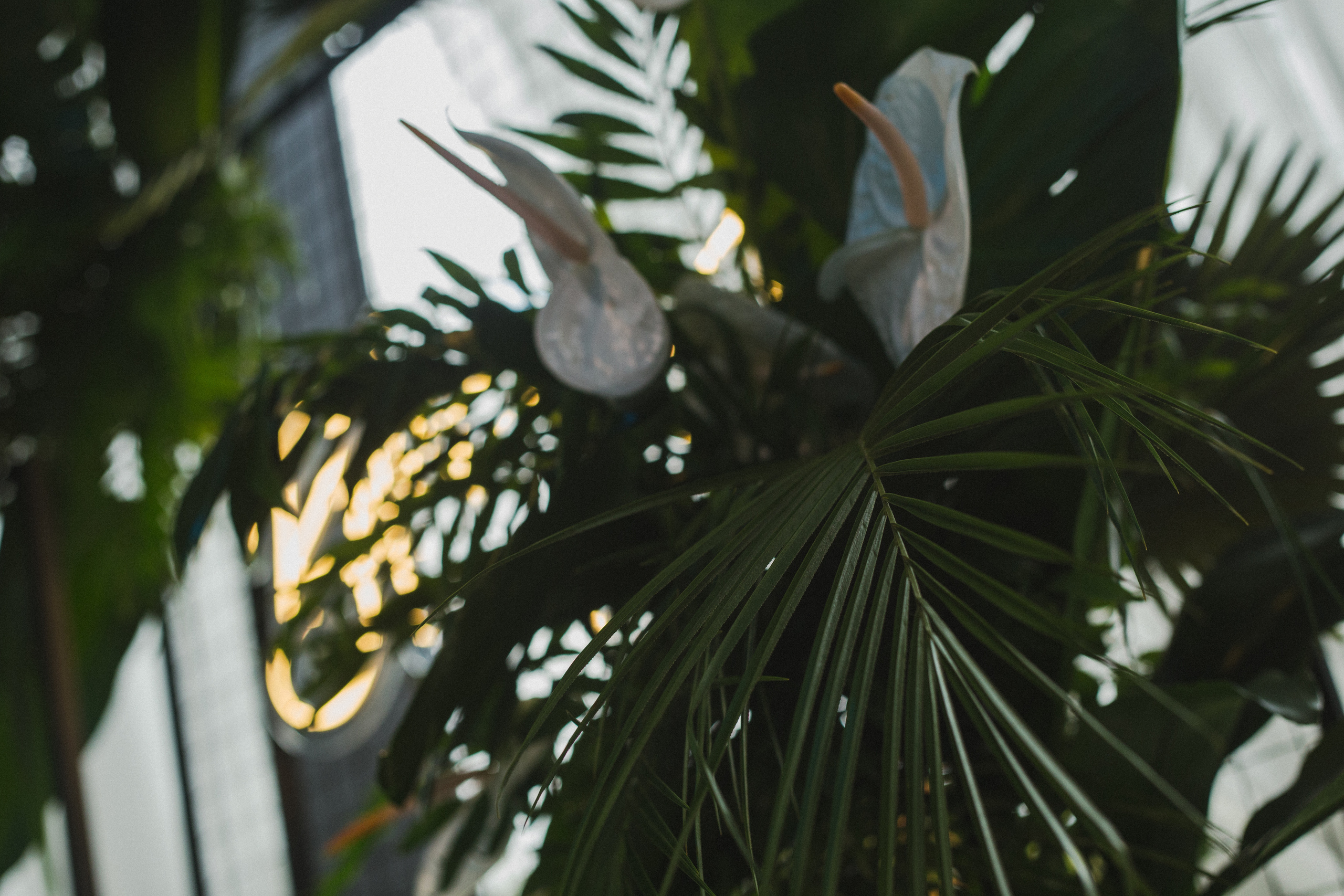 Декор свадьбы. Виктория Еремина — фотограф и видеограф в Москве